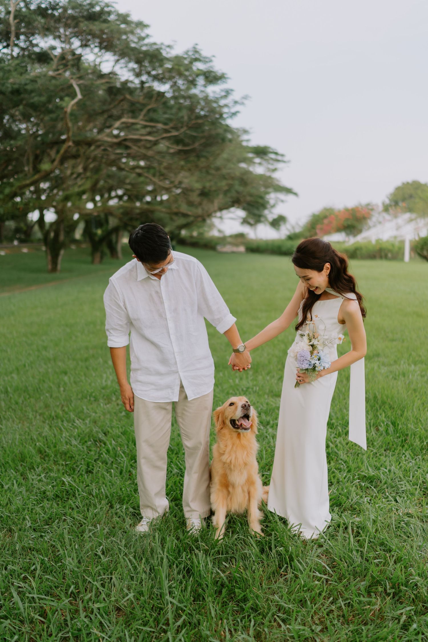 Asian wedding couple posing with golden retriever dog on green lawn at outdoor venue.