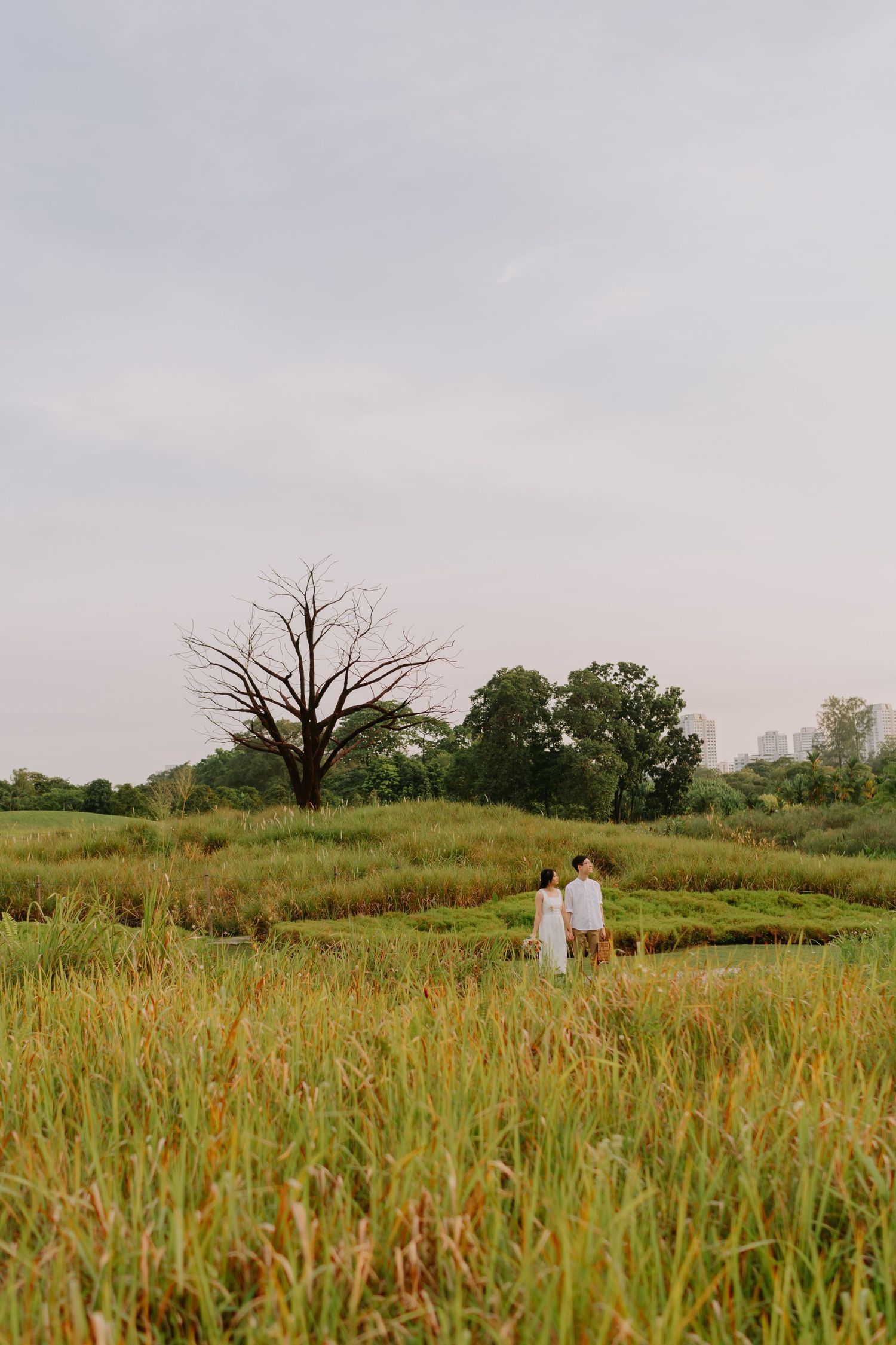 Couple walking hand-in-hand through tall grass meadow with bare tree and city skyline at dusk.