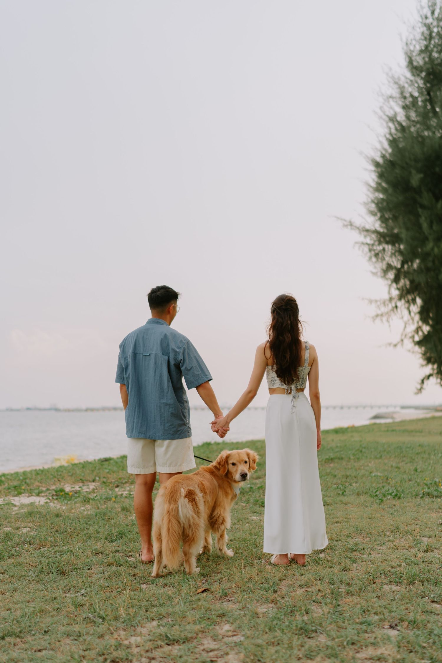 Couple holding hands with golden retriever dog by the seaside at dusk.