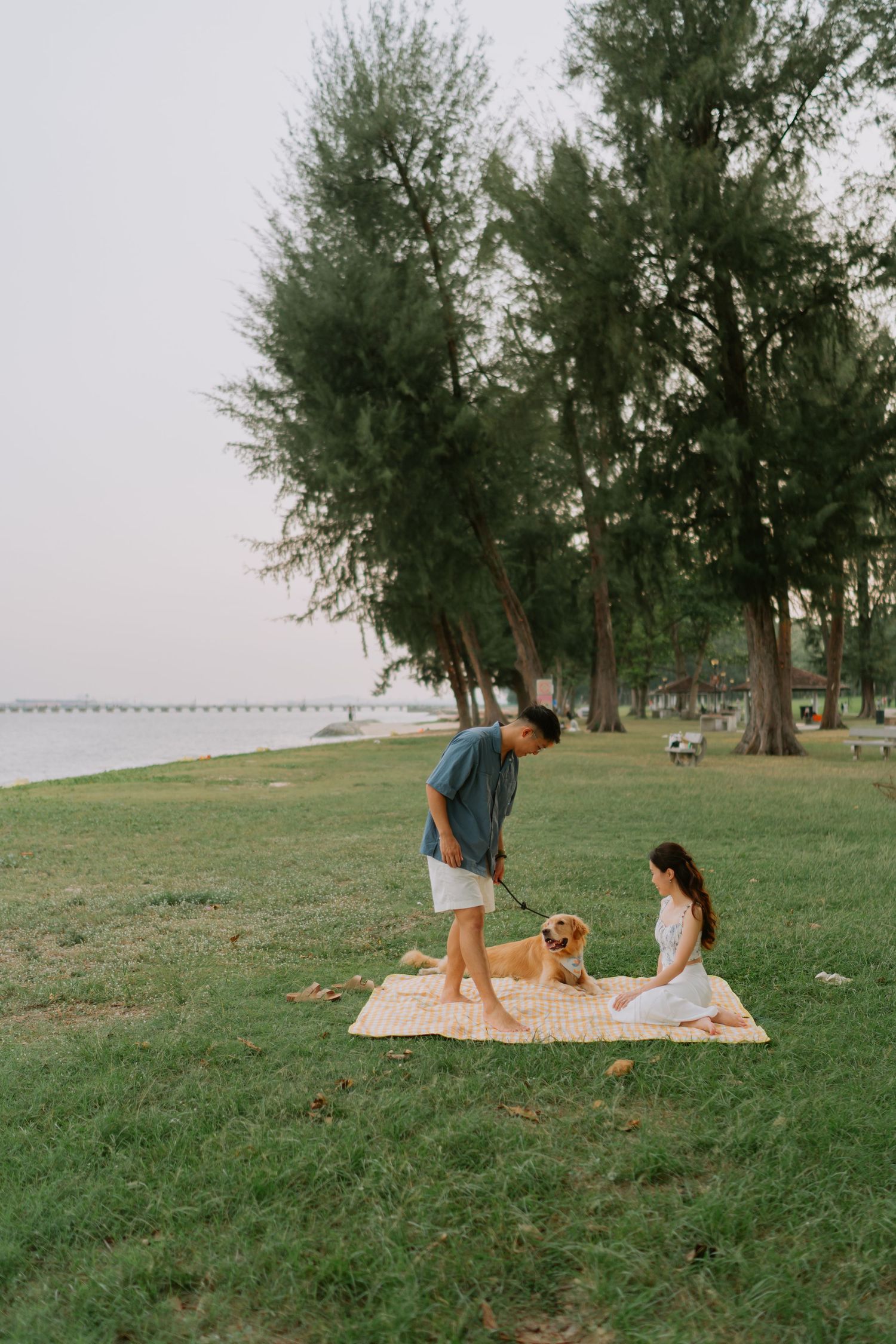 Couple with golden retriever on checkered blanket in park near waterfront with tall trees.