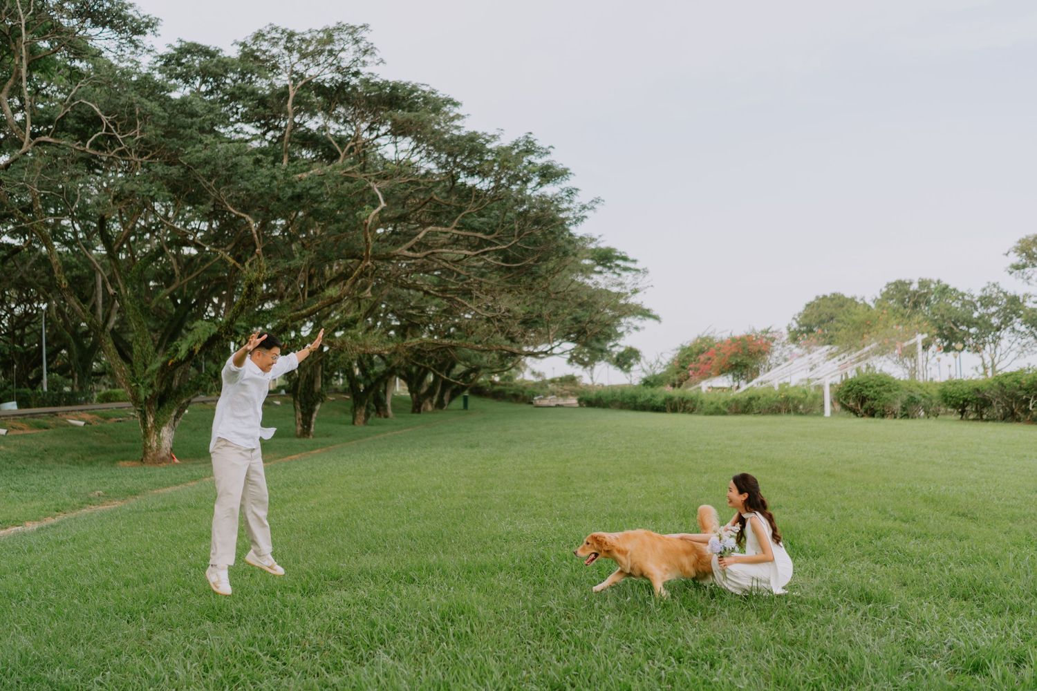 Bride and groom play with golden retriever dog on lush green lawn surrounded by large trees.