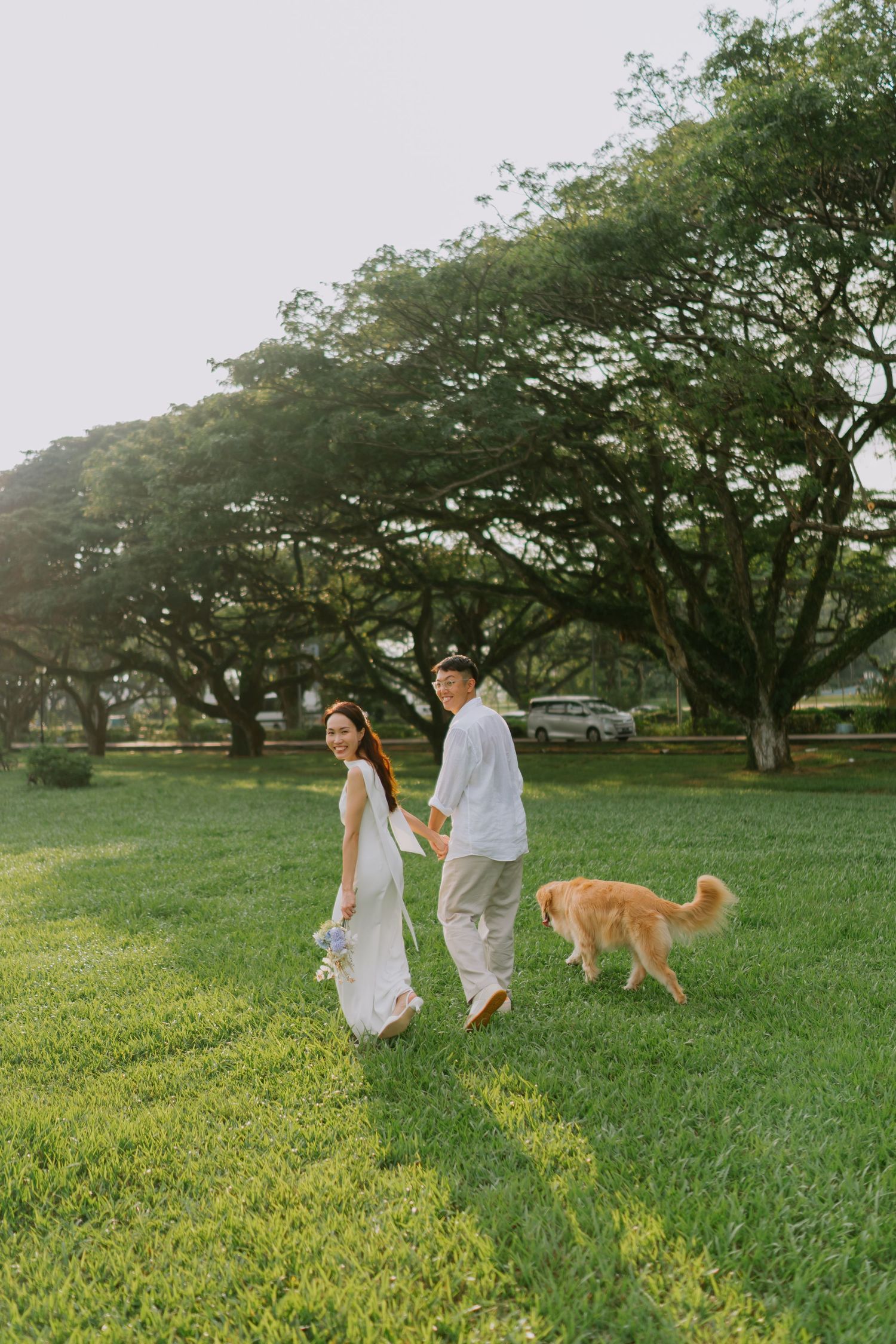 Wedding couple walks hand-in-hand with golden retriever across green lawn lined with large trees.