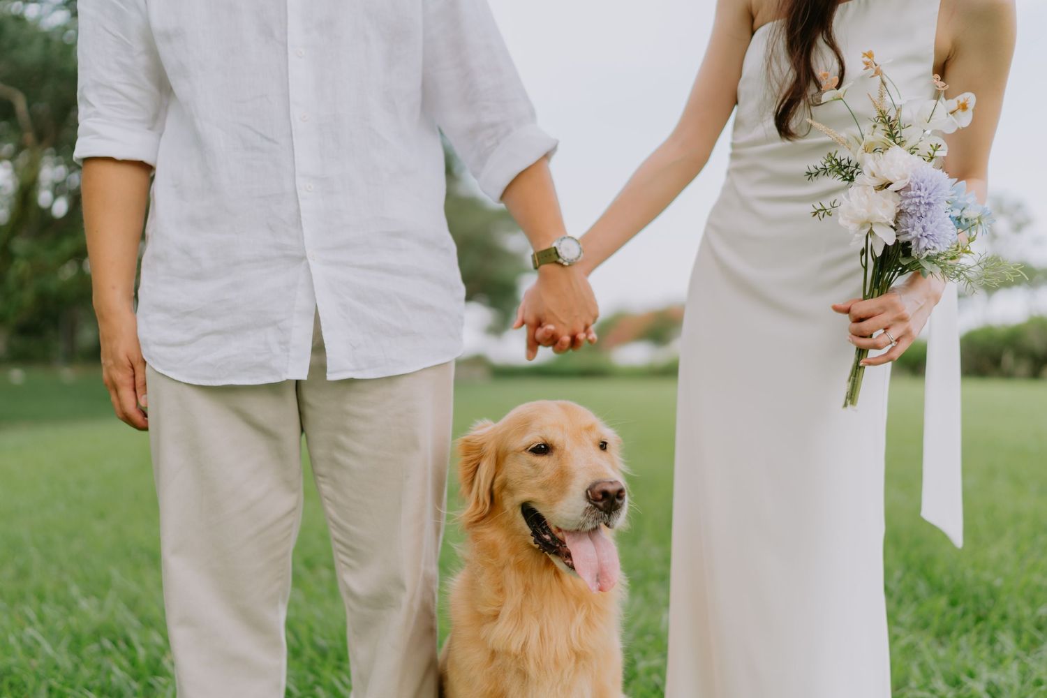 Couple in white wedding attire hold hands with golden retriever dog sitting between them on green grass.