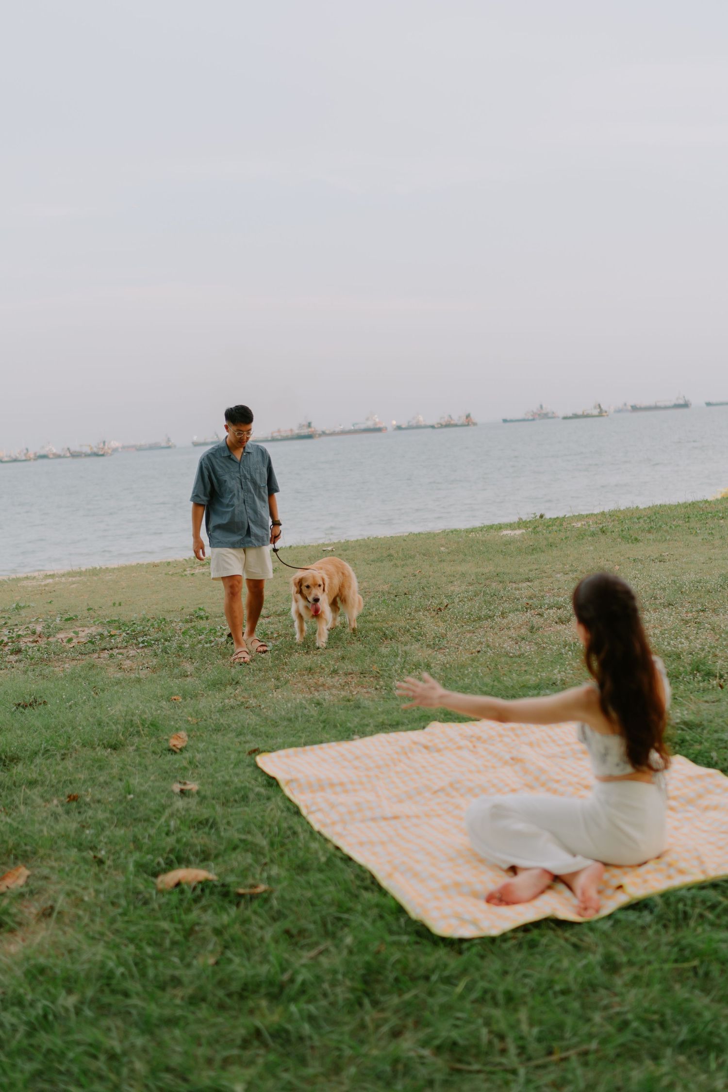 Man walking golden retriever on leash toward woman sitting on picnic blanket by the sea.