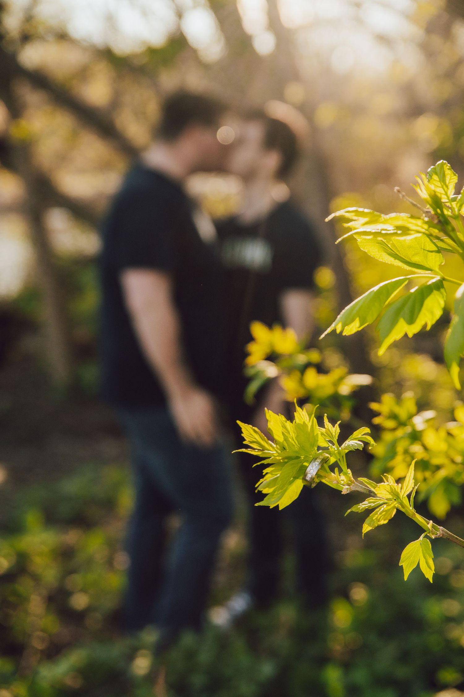 Sunlit yellow leaves frame a soft-focus romantic scene in a garden setting.