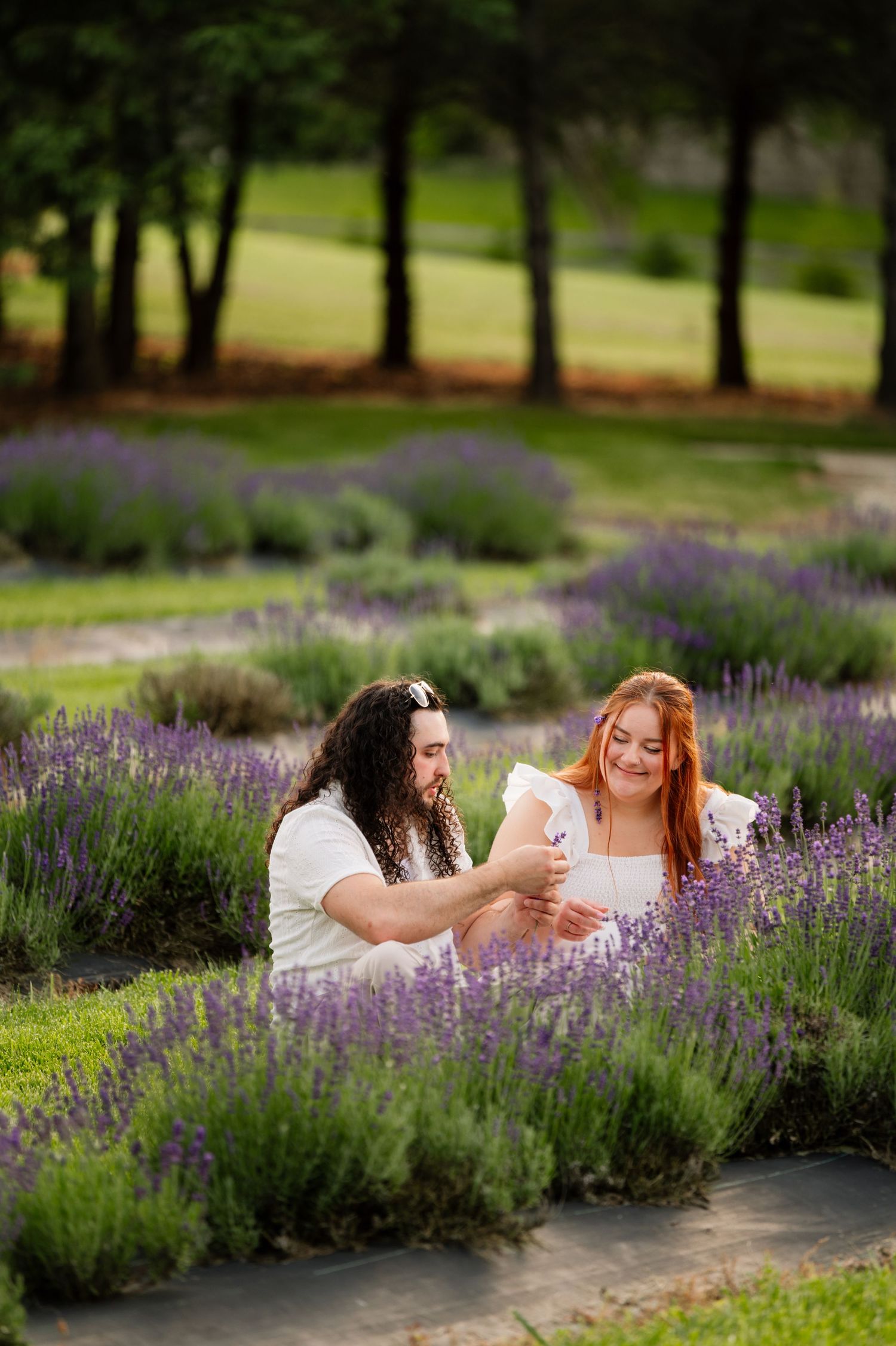 A couple enjoys a lighthearted moment surrounded by fragrant lavender plants.