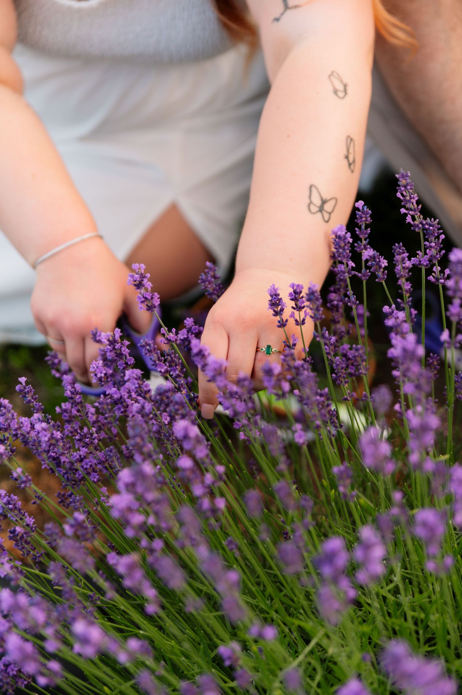 Delicate hands with butterfly tattoos gently touching blooming lavender stems.