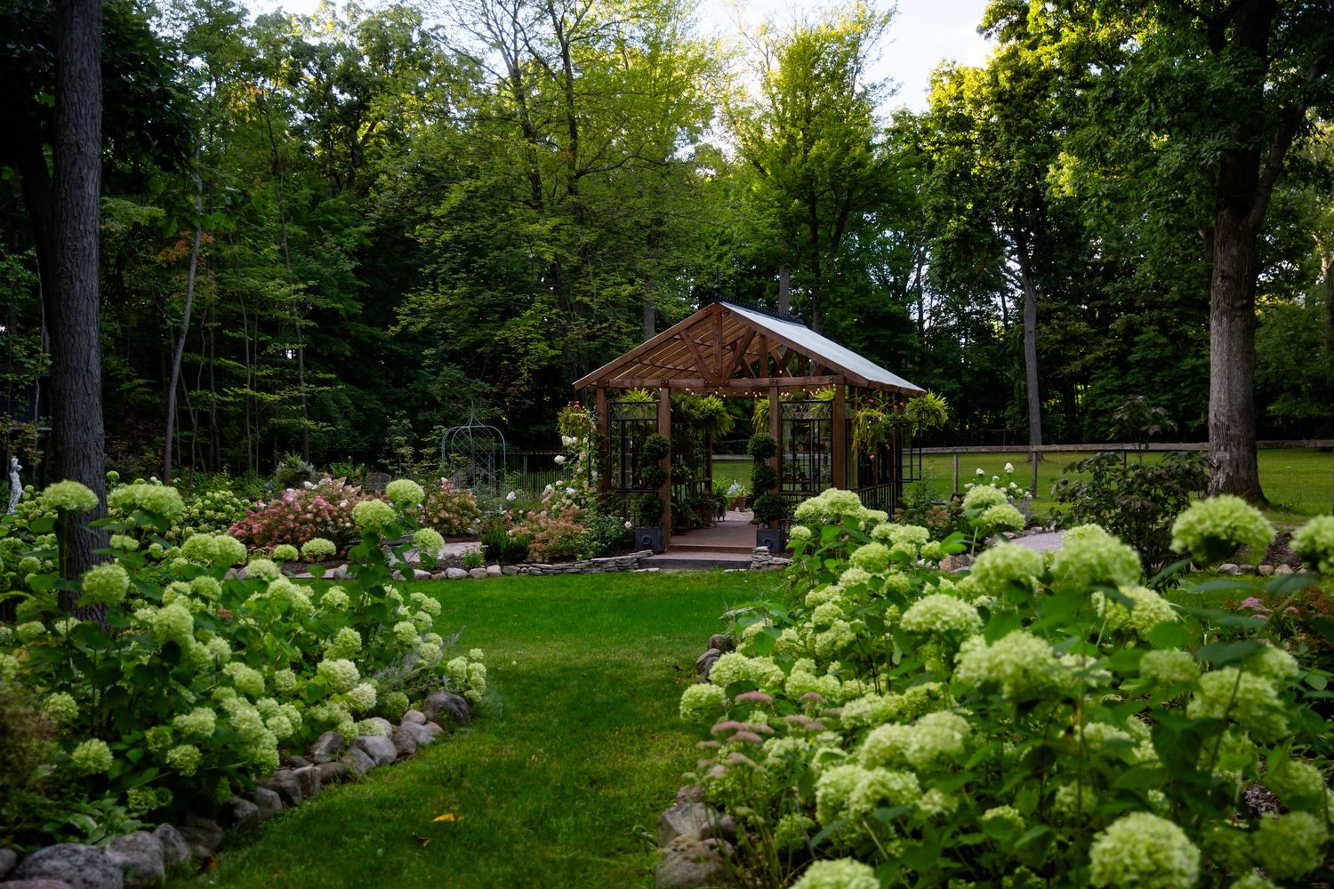 Lush garden path lined with blooming white hydrangea bushes leads through a green wooded landscape.