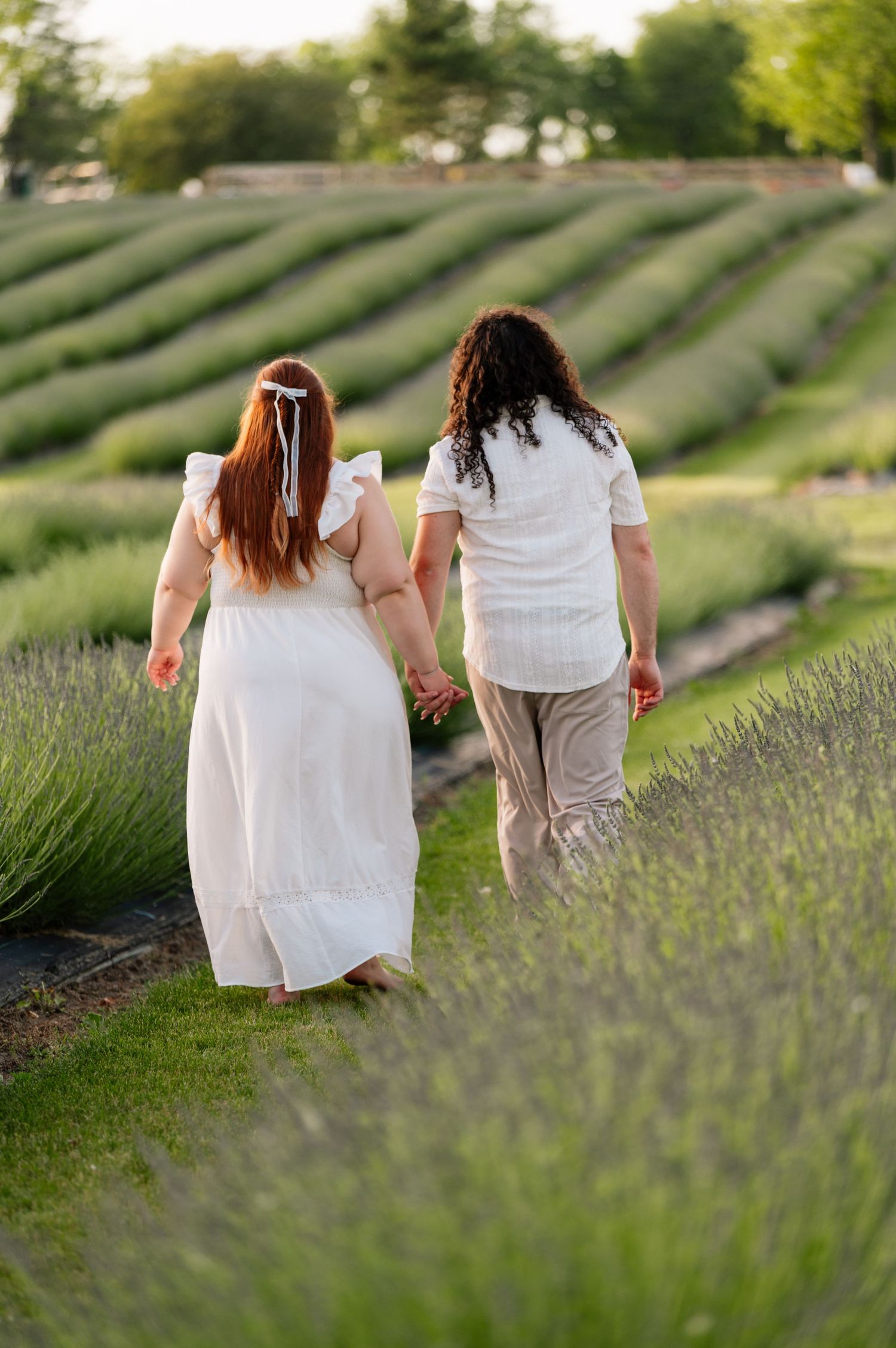 A couple strolls through rows of blooming lavender on a summer evening.