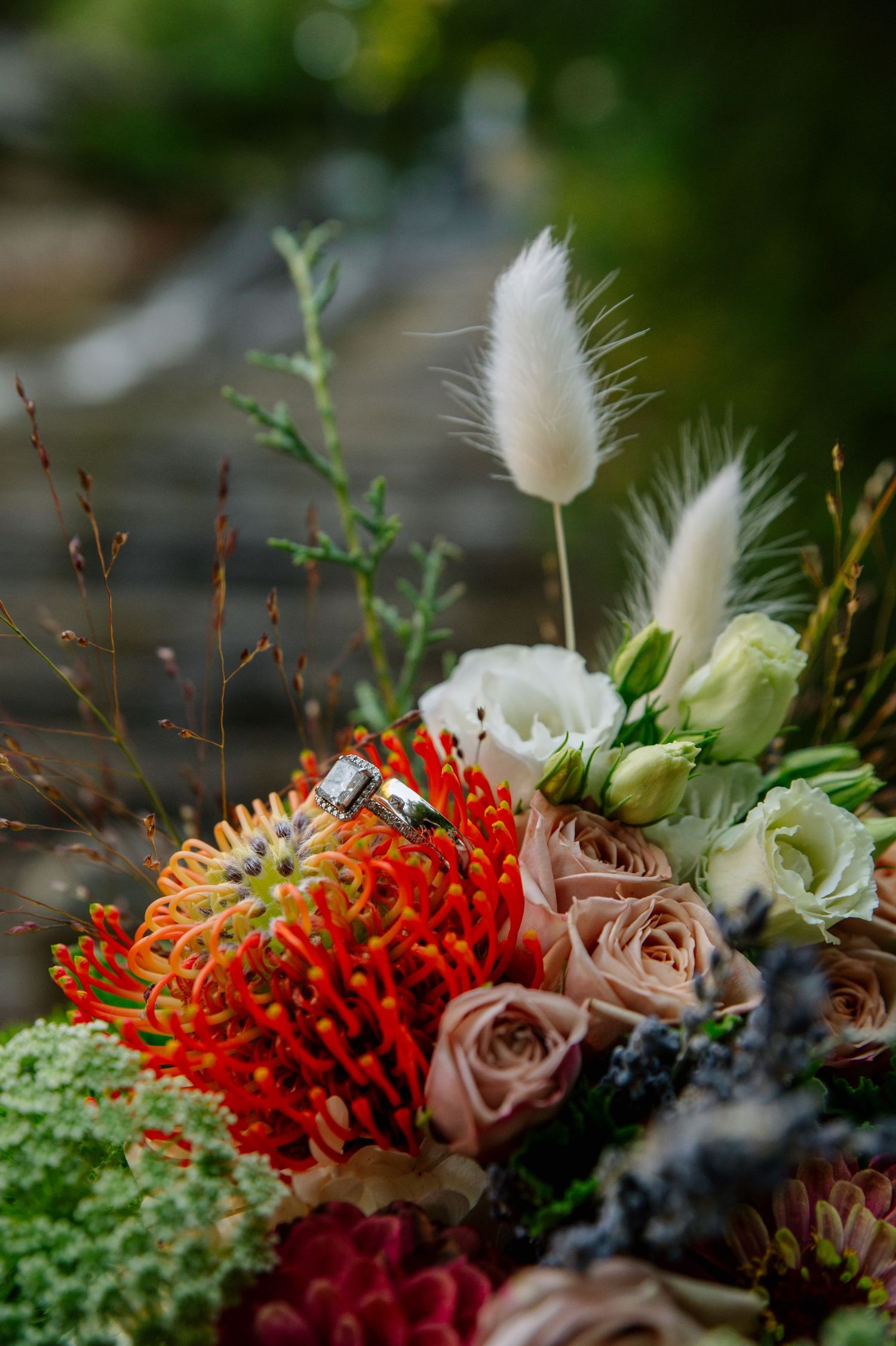 Vibrant wedding bouquet with red protea flowers, pink roses, white bunny tails and greenery details.