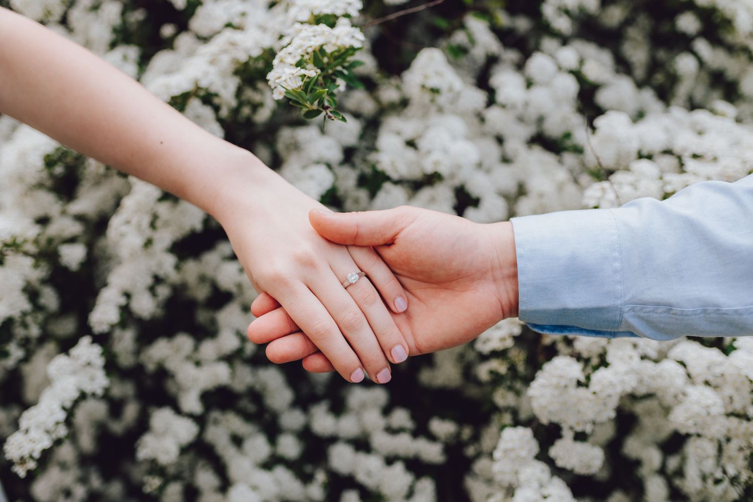 Two hands holding each other against a backdrop of white spring blossoms.