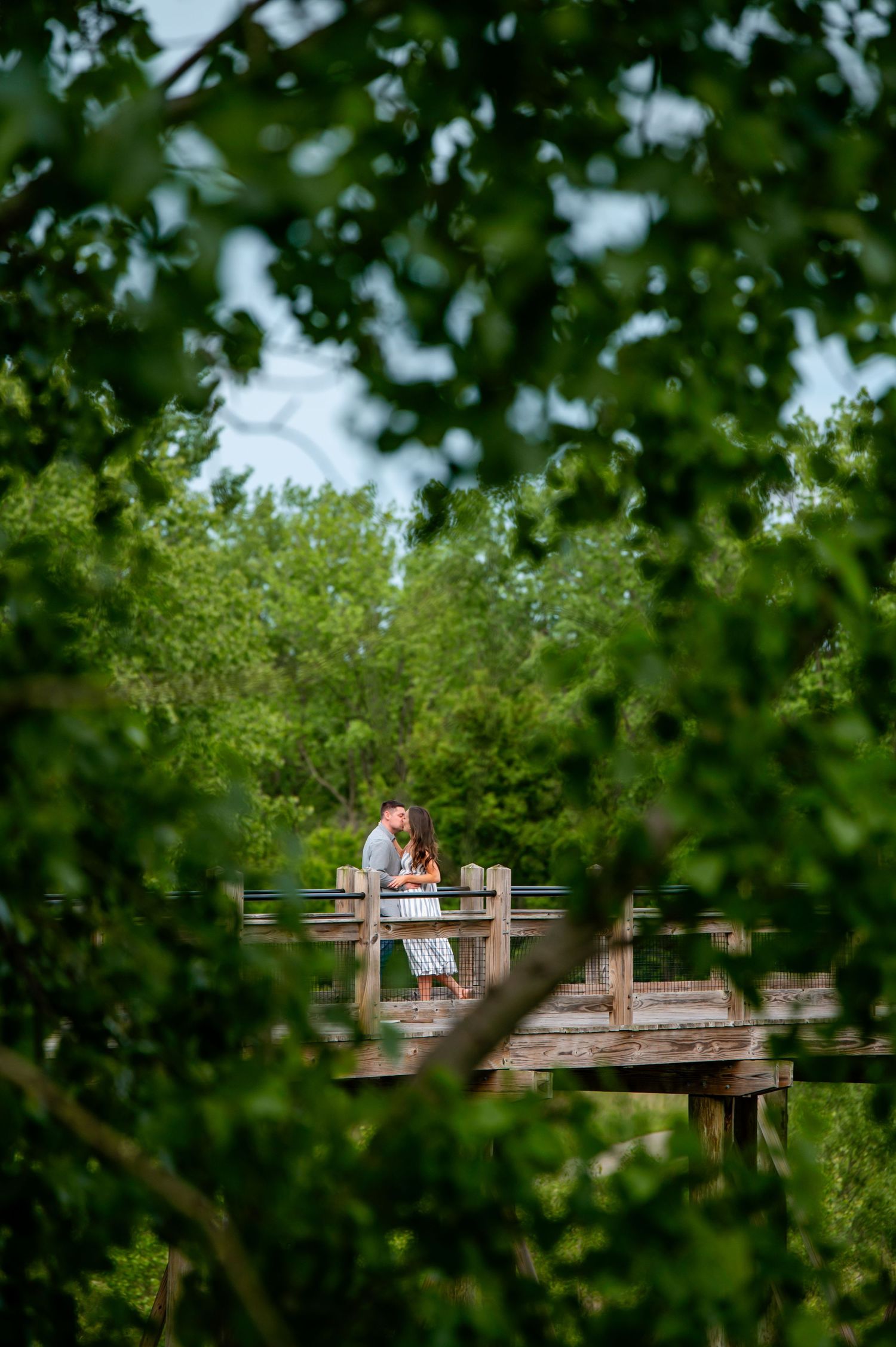 A distant view through tree branches of people sitting on a wooden deck or platform in a park setting.