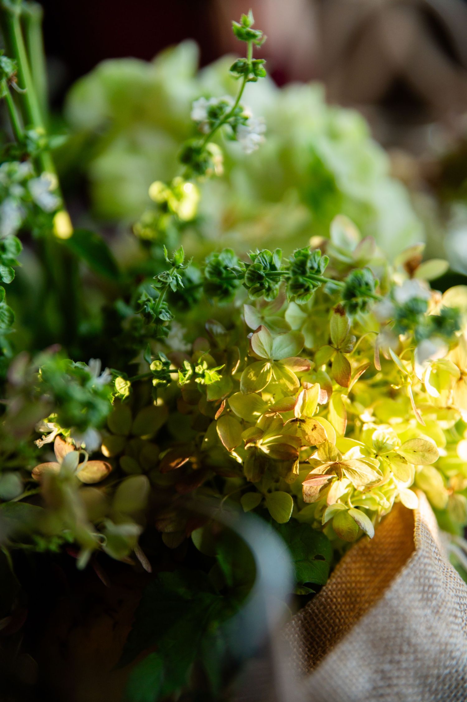Delicate yellow flowers and green foliage in soft sunlight with burlap wrapping creating a romantic garden arrangement.