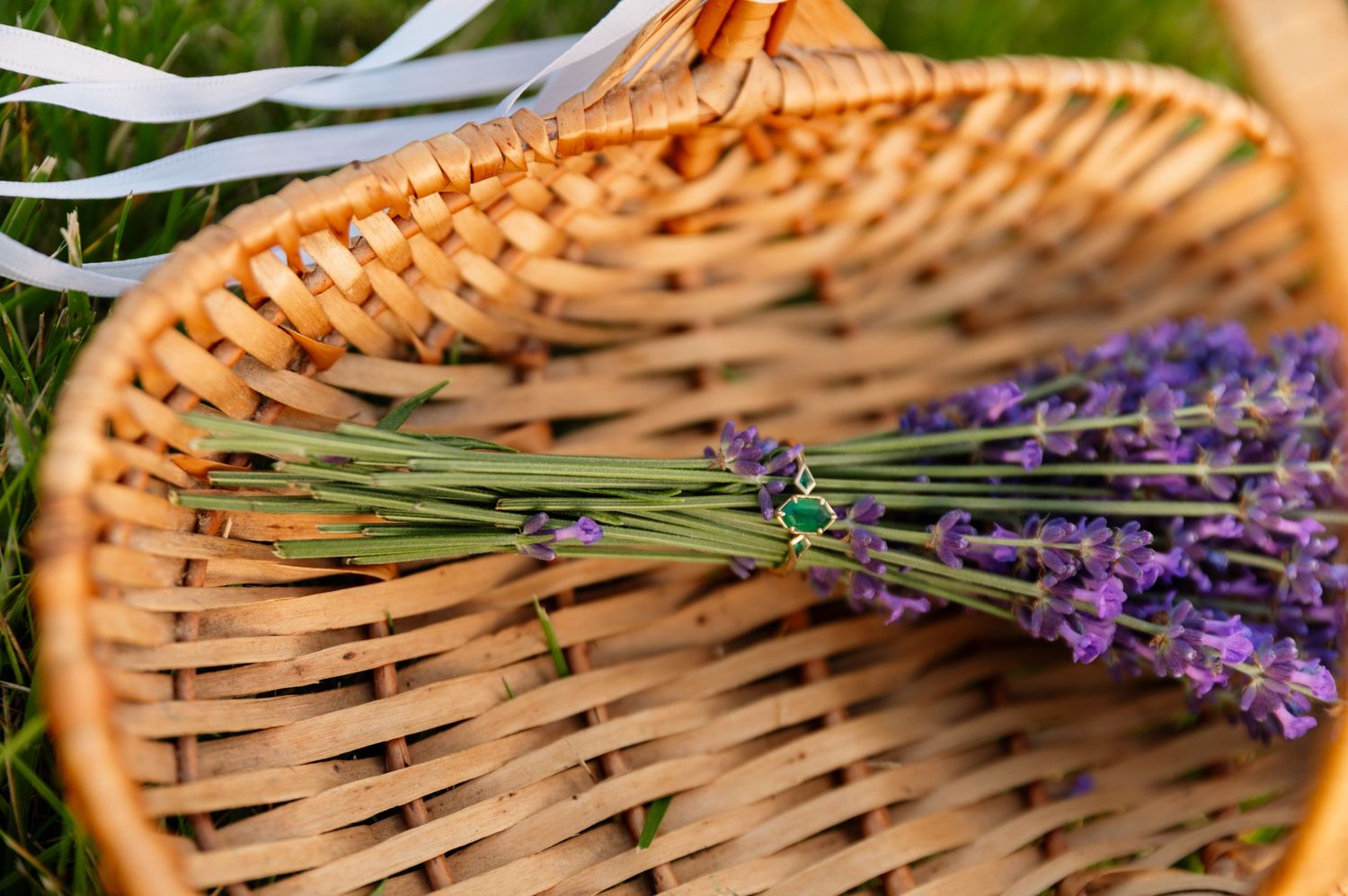 Fresh lavender stems rest in a woven wicker basket against a green background.