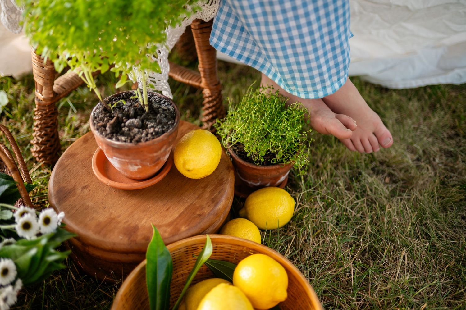 Person standing barefoot near potted plants and a wooden bowl filled with fresh yellow lemons on green grass.