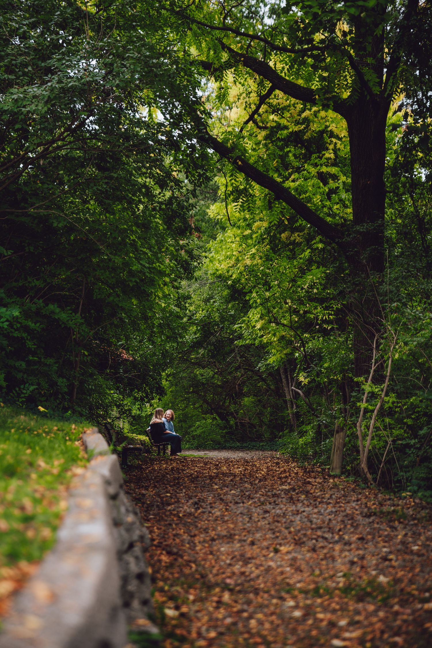 Tree-lined path with fallen autumn leaves and couple sitting on stone wall in distance.