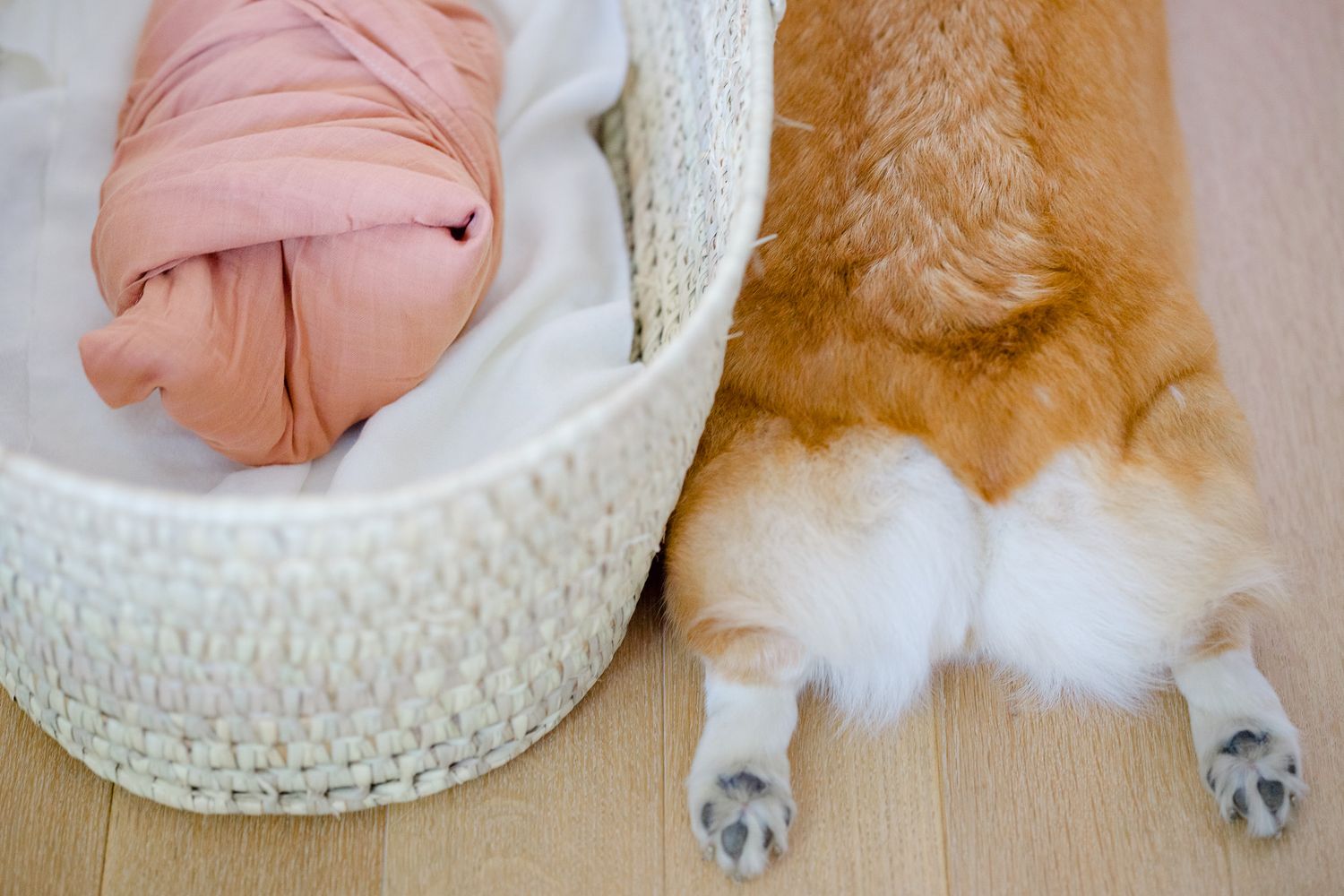 A sleeping newborn baby rests in a white woven basket next to a fluffy ginger cat.