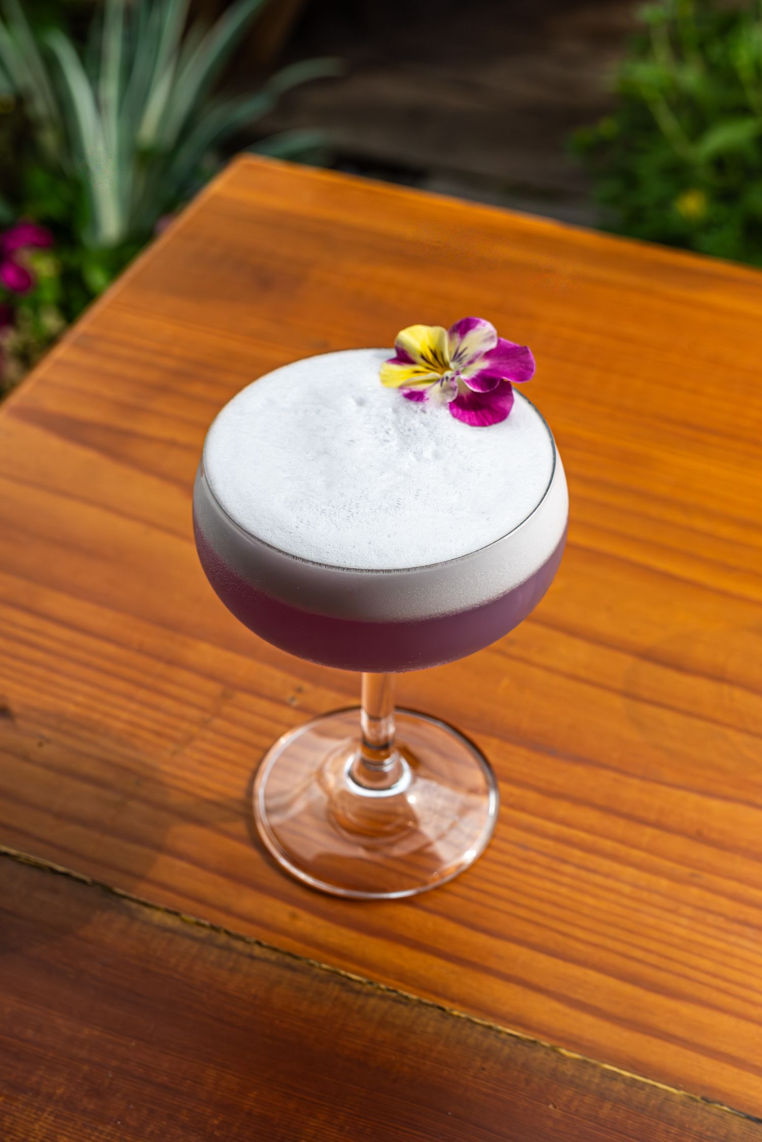 photo of a purple colourful drink with flower