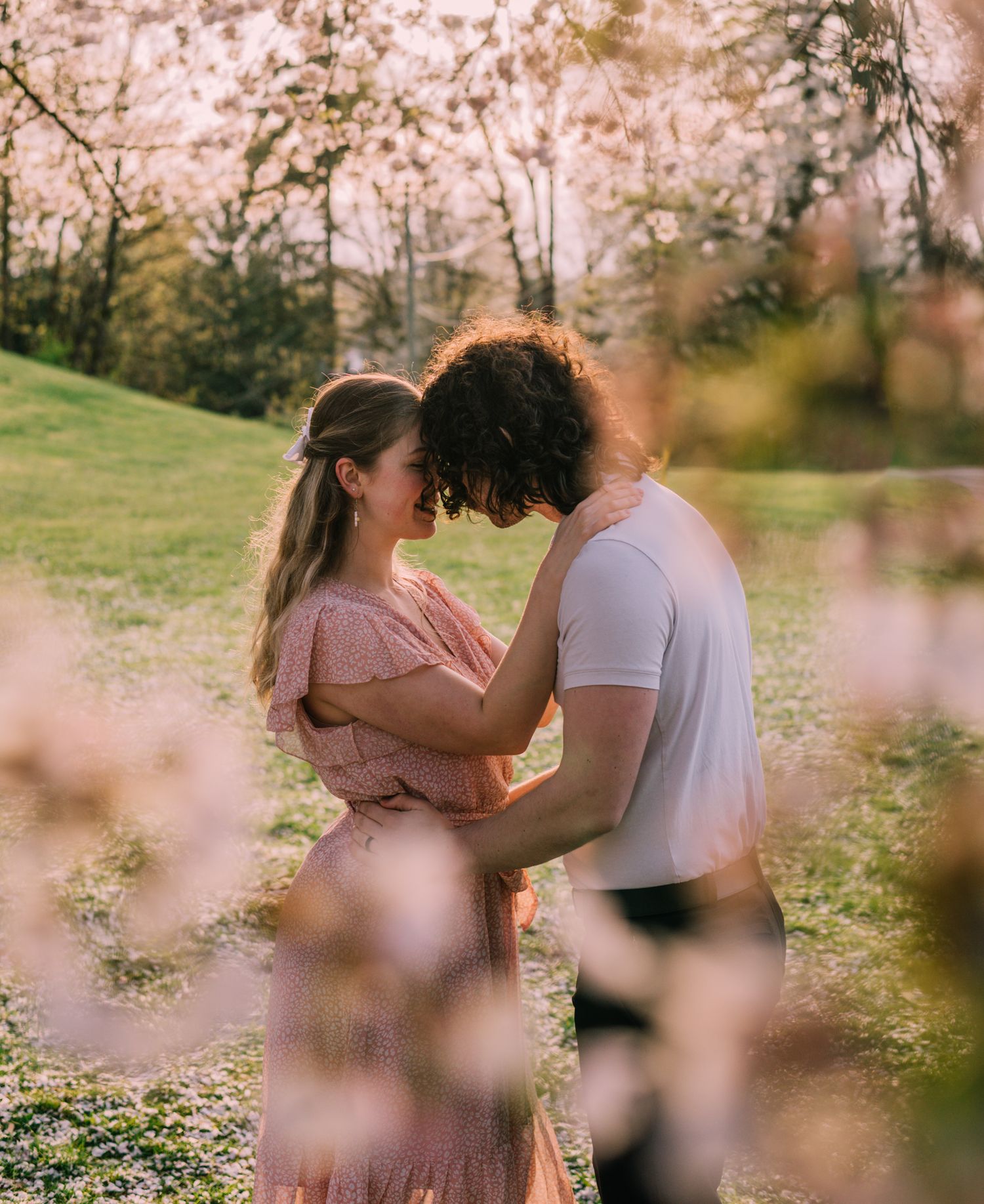 Couple Kissing Under Cherry Blossoms.
A romantic image of a couple sharing a kiss beneath a canopy of vibrant pink cherry blossoms.