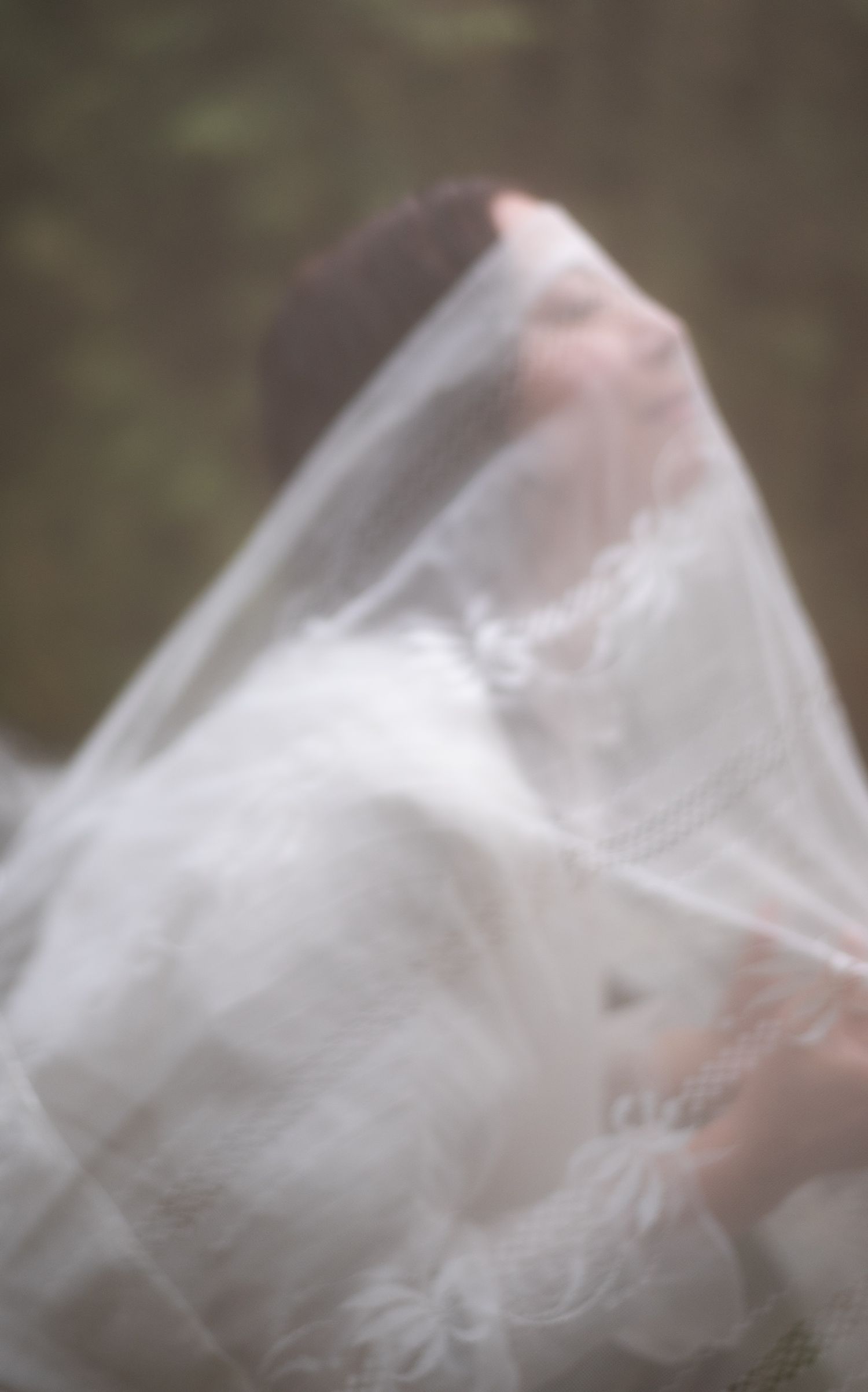 A dreamy, slightly blurred image of a woman with dark hair, partially covered by a delicate white veil, in a natural outdoor setting