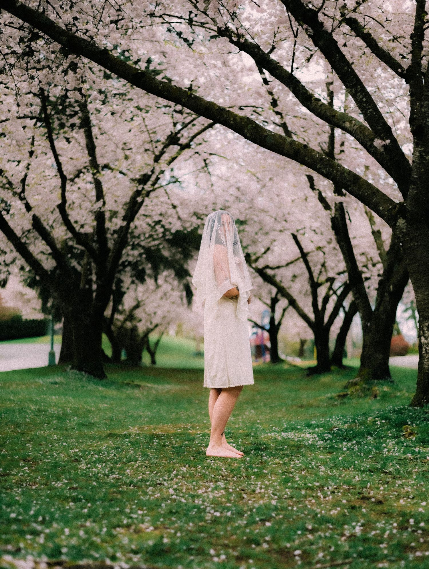 a woman standing under cherry blossoms, in a white dress.