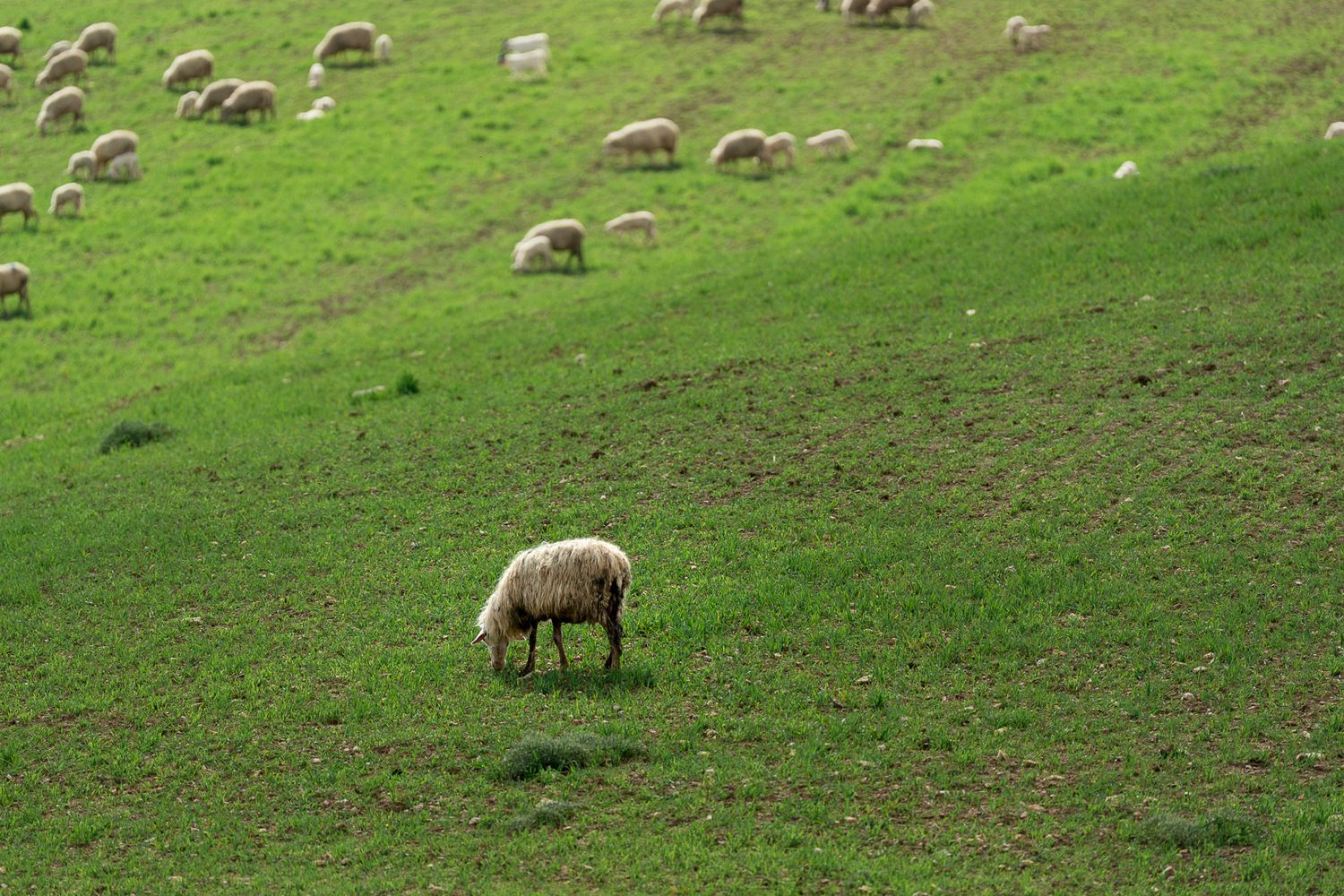 Alexandre Rouette : photo de paysage d'Italie