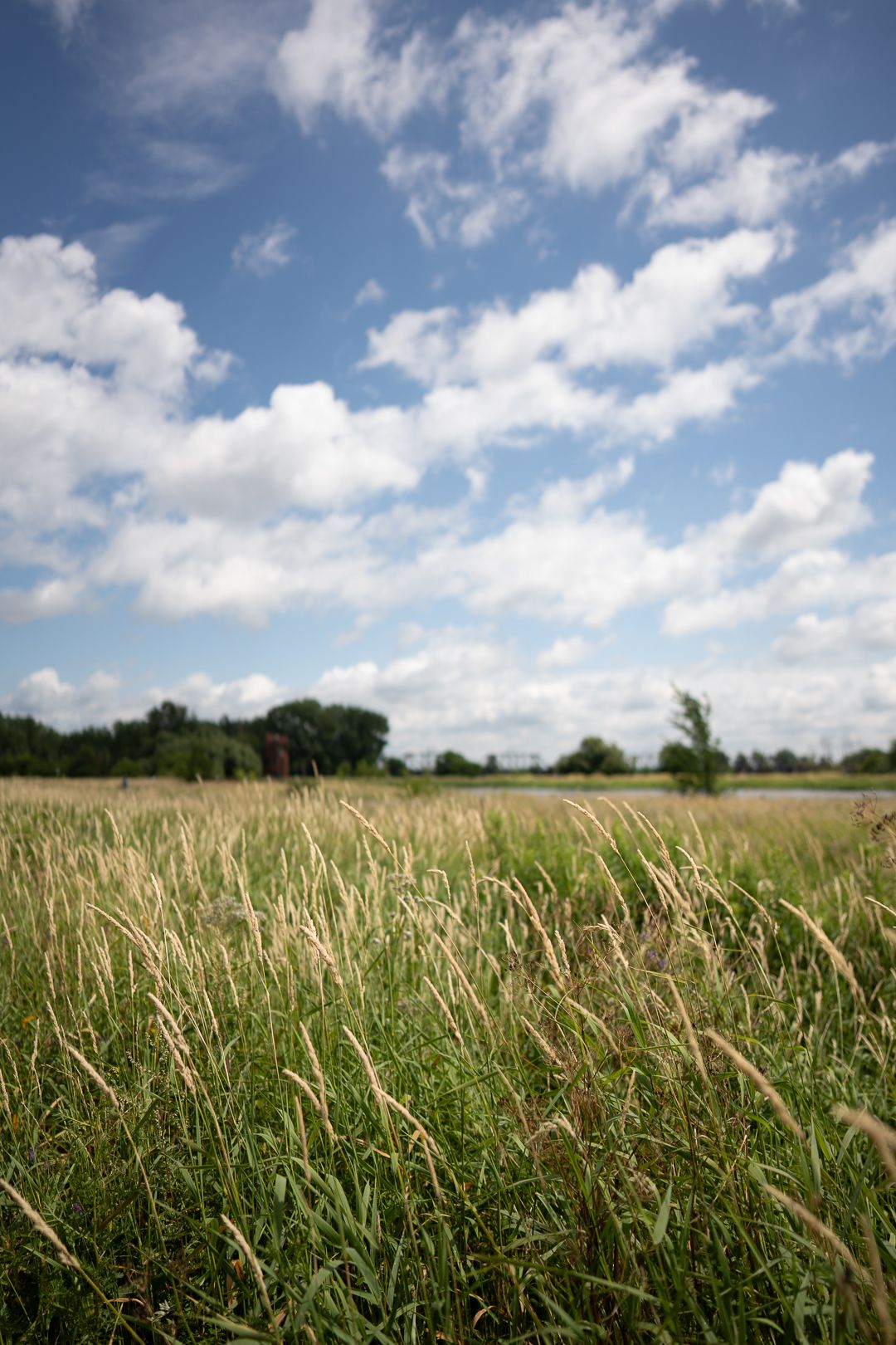 Alexandre Rouette : photo de paysage