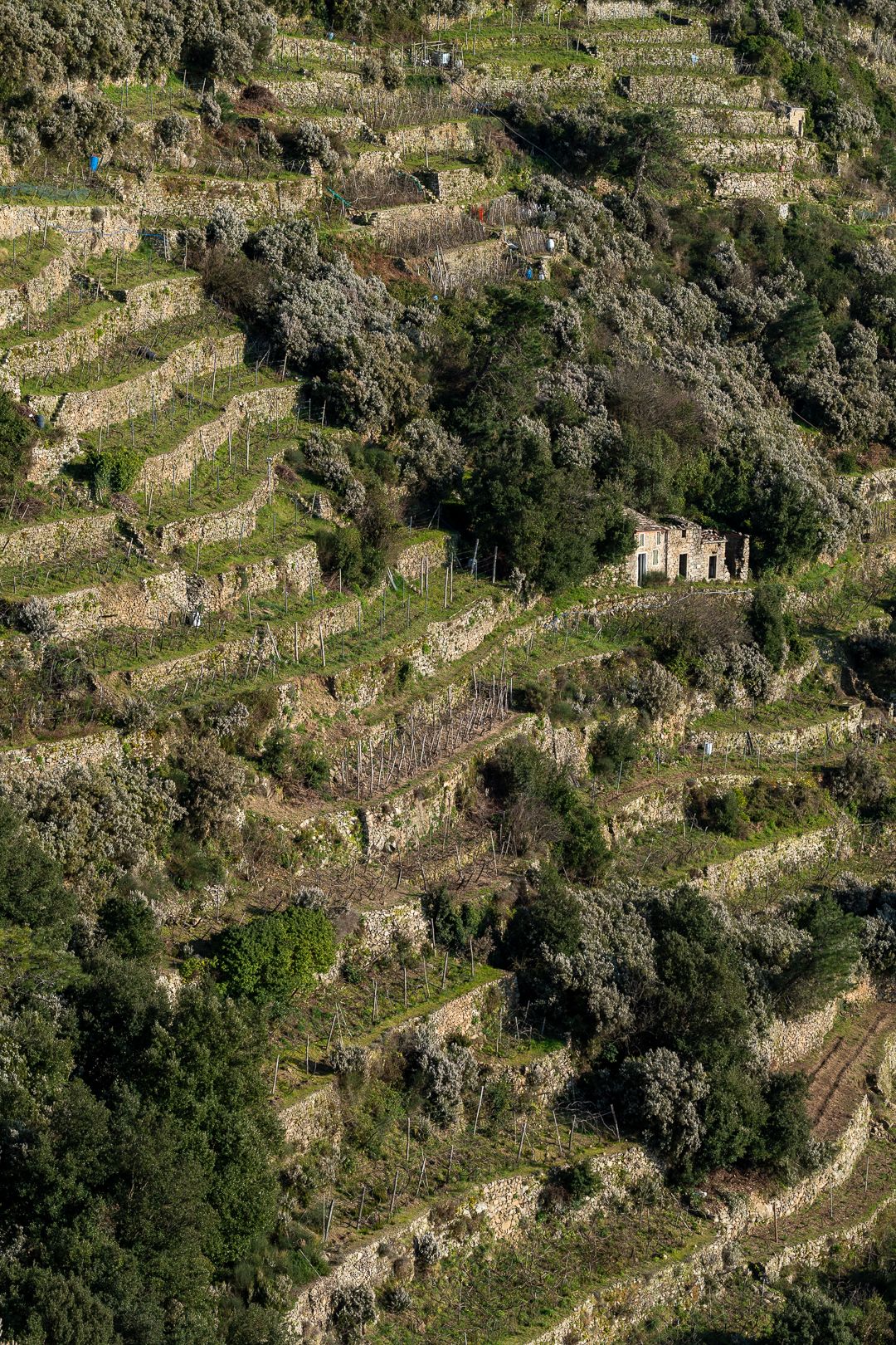 Alexandre Rouette : photo de paysage d'Italie