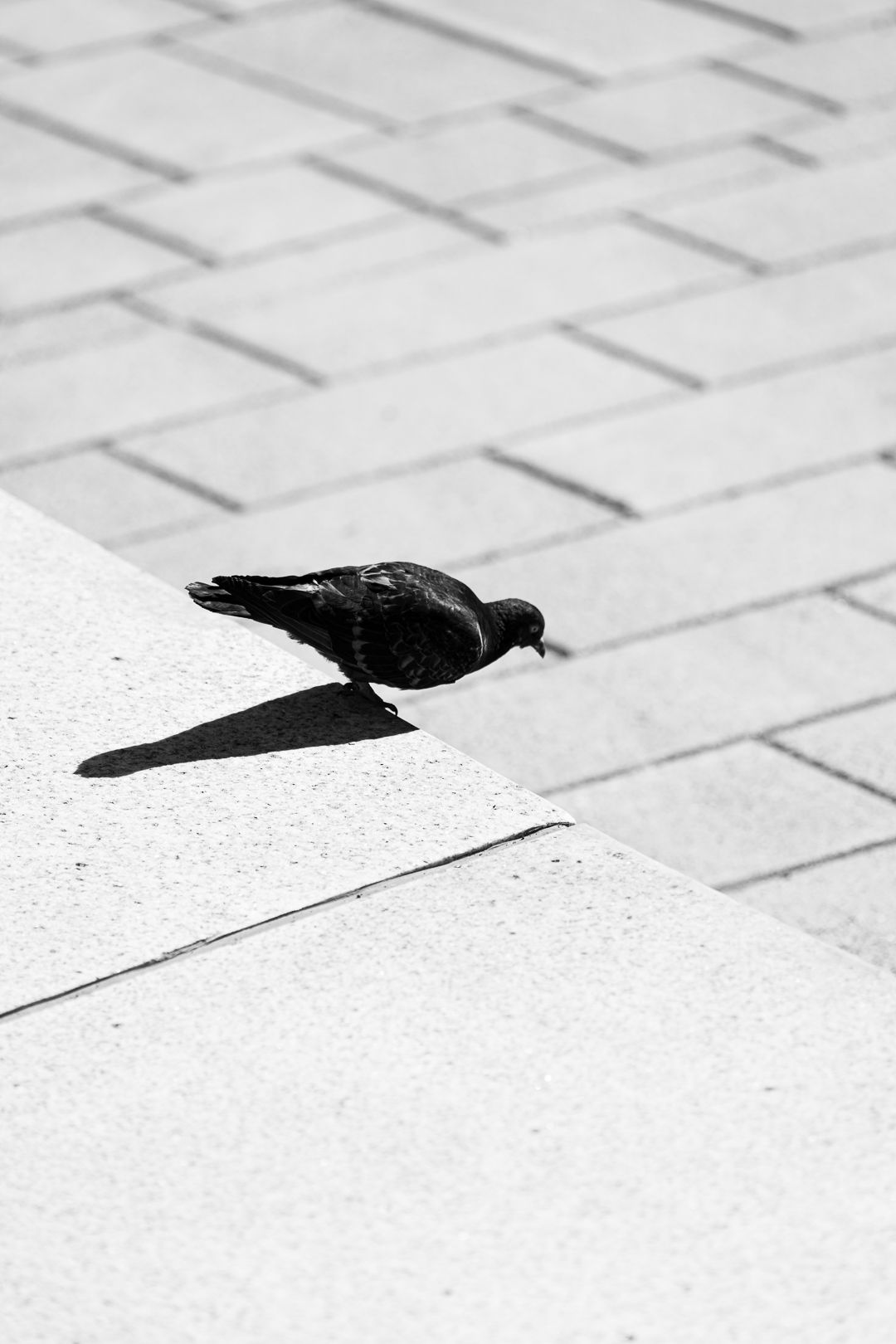 Photo de rue