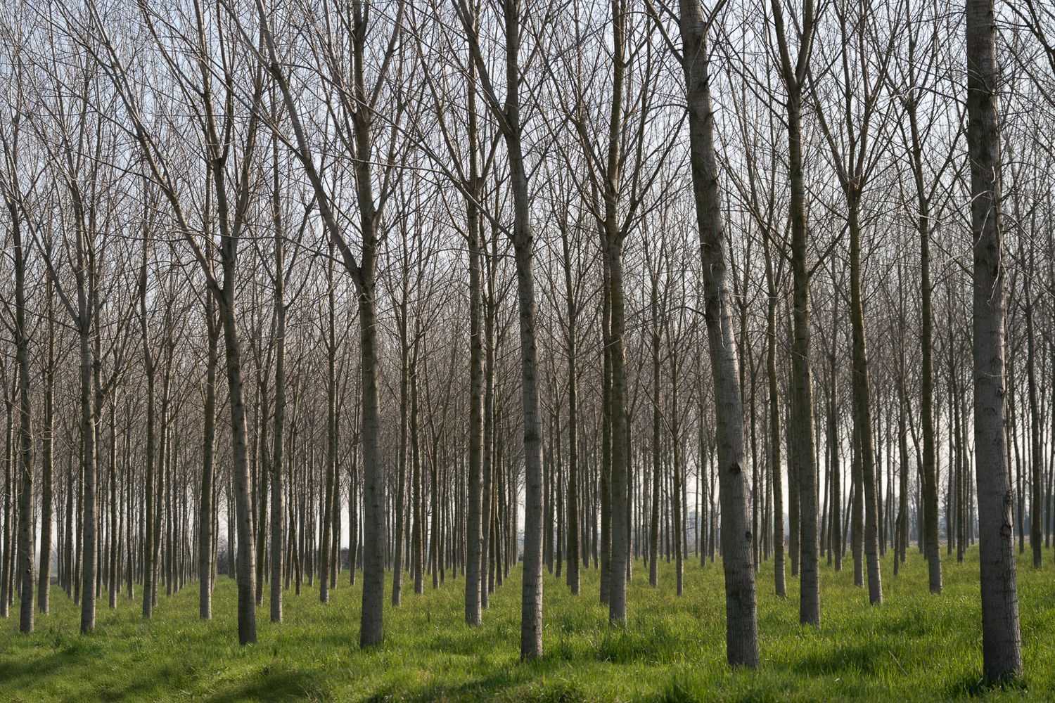 Alexandre Rouette : photo de paysage d'Italie
