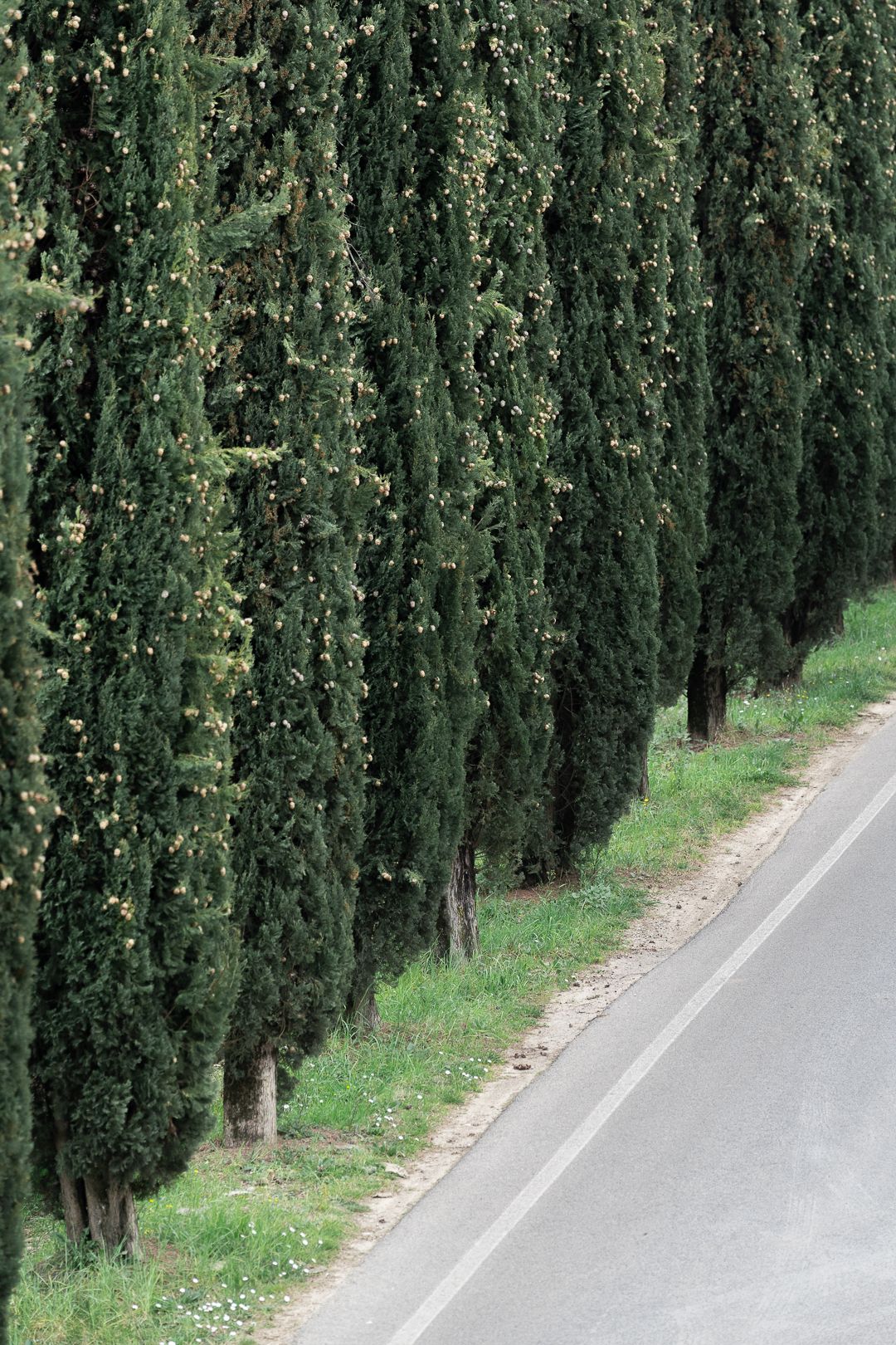 Alexandre Rouette : photo de paysage d'Italie