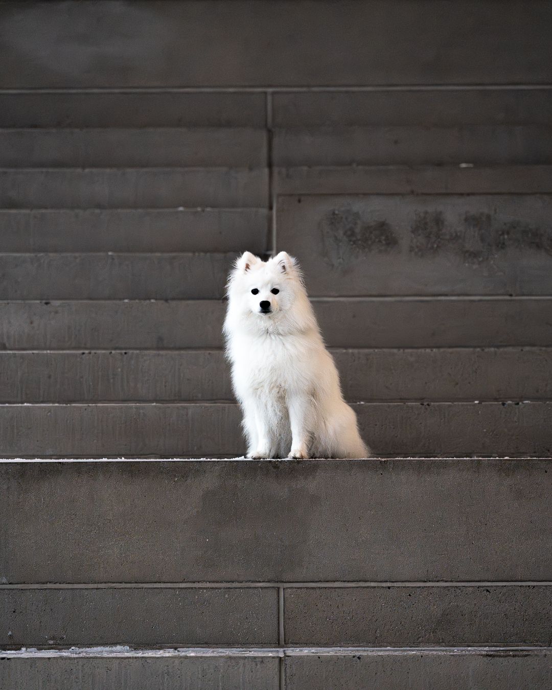 Photo animalière