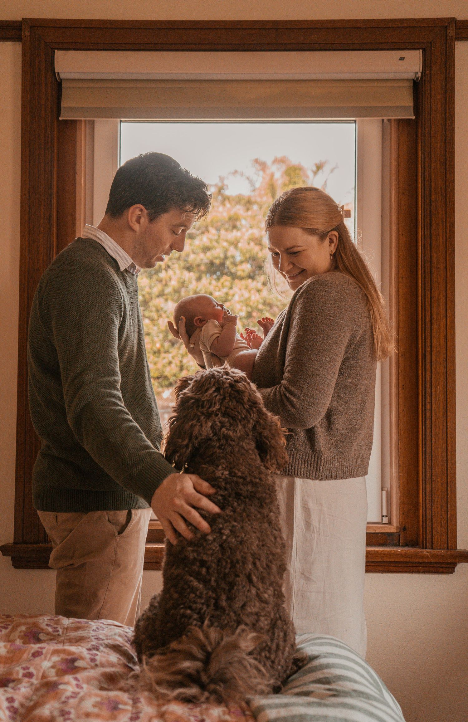 A couple interacts with their curly-haired dog by a window in a series of candid moments.