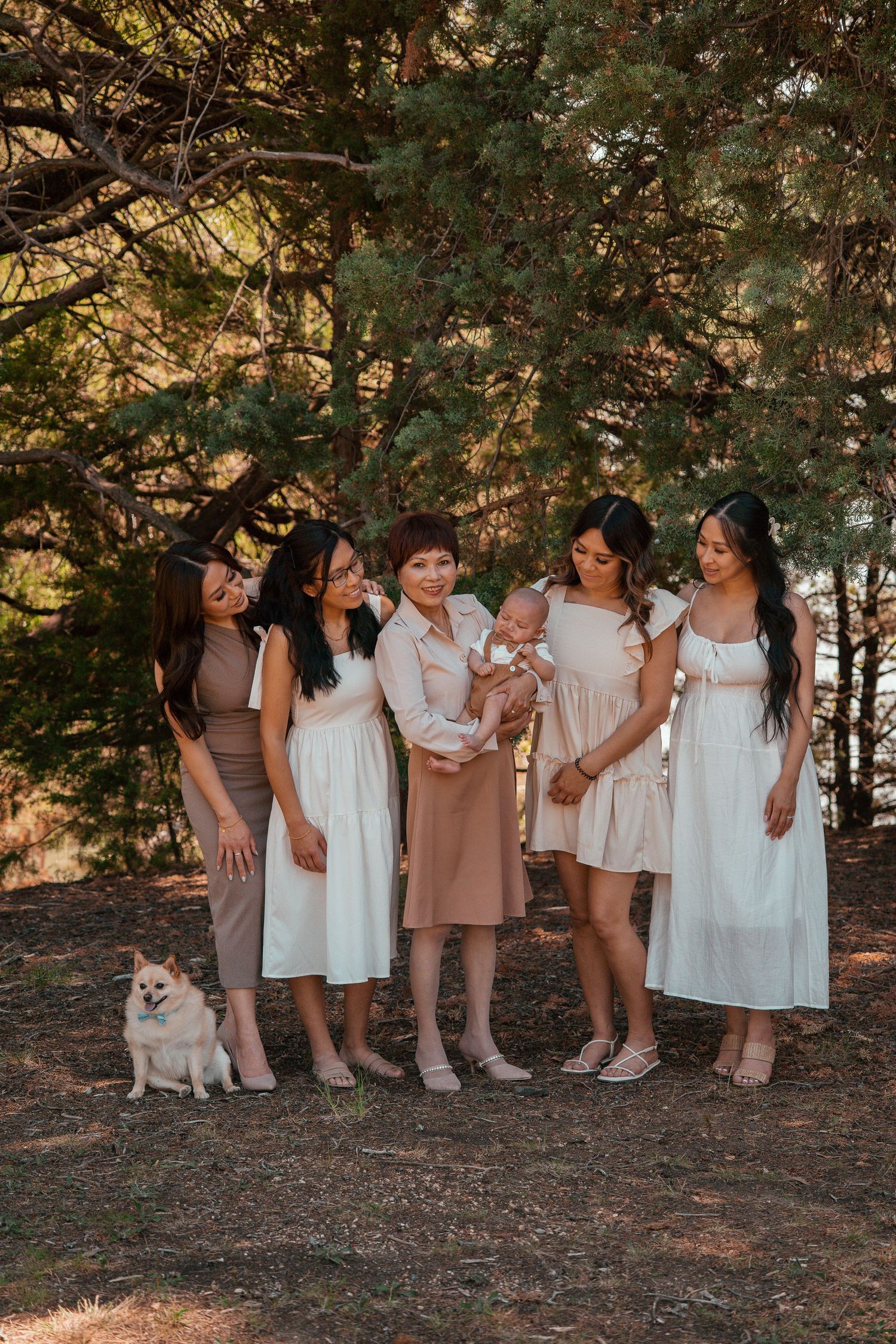 A group in light-colored dresses stands together outdoors with a small dog under pine trees at sunset.