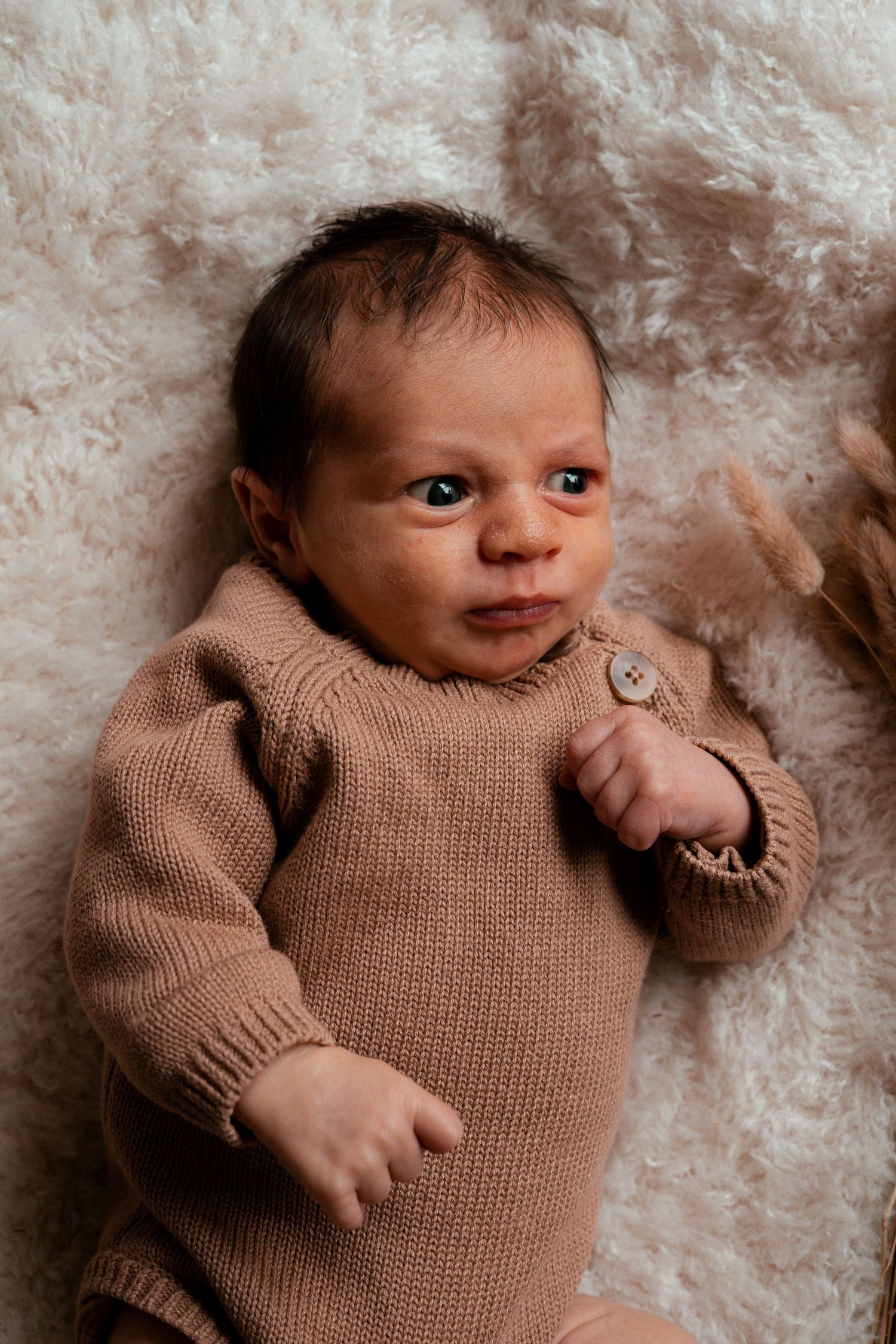 Newborn baby wrapped in cozy brown knit sweater on fluffy white blanket.