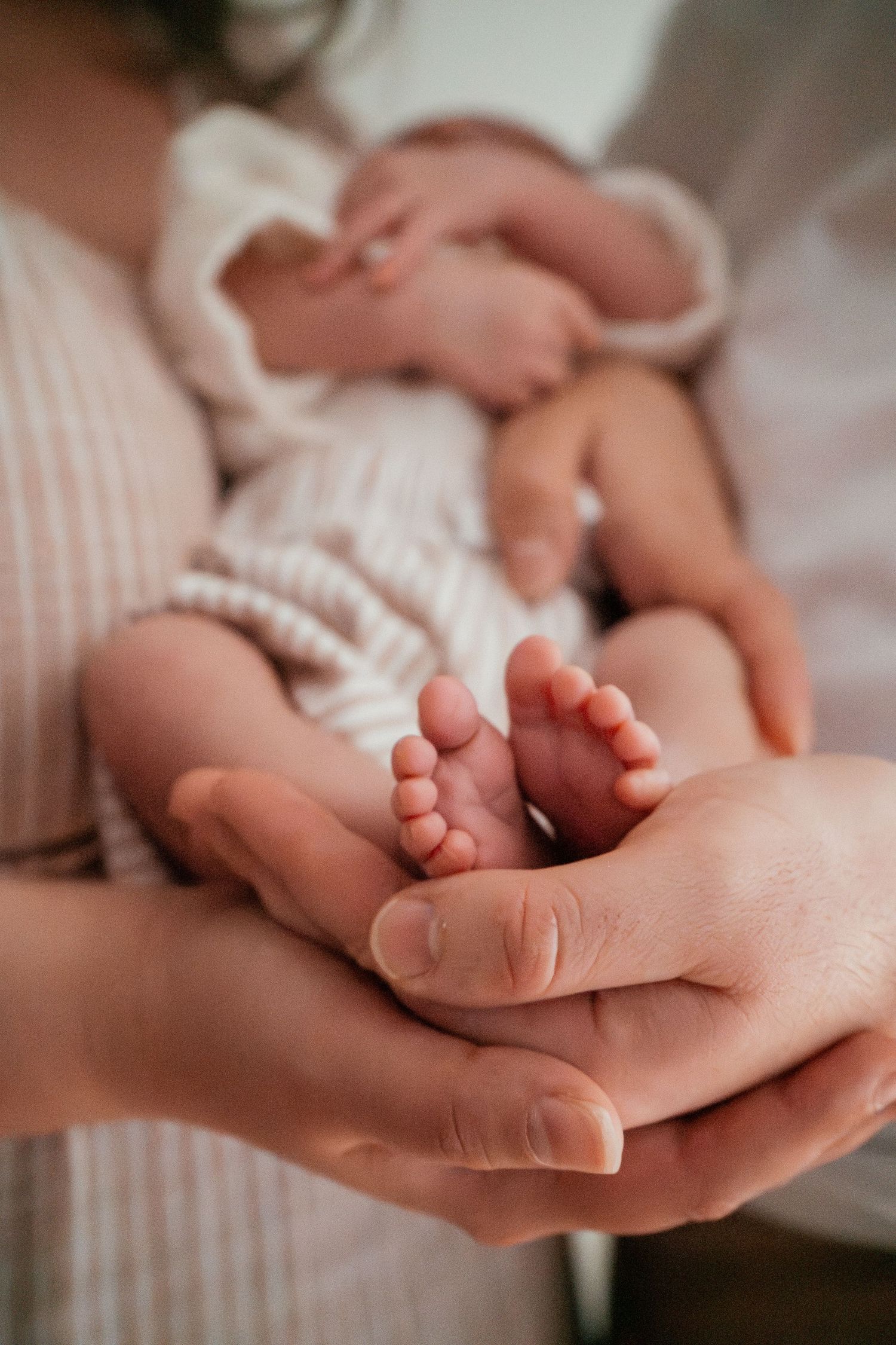 Close-up shots of tiny newborn baby feet being gently cradled in adult hands against a soft white background.