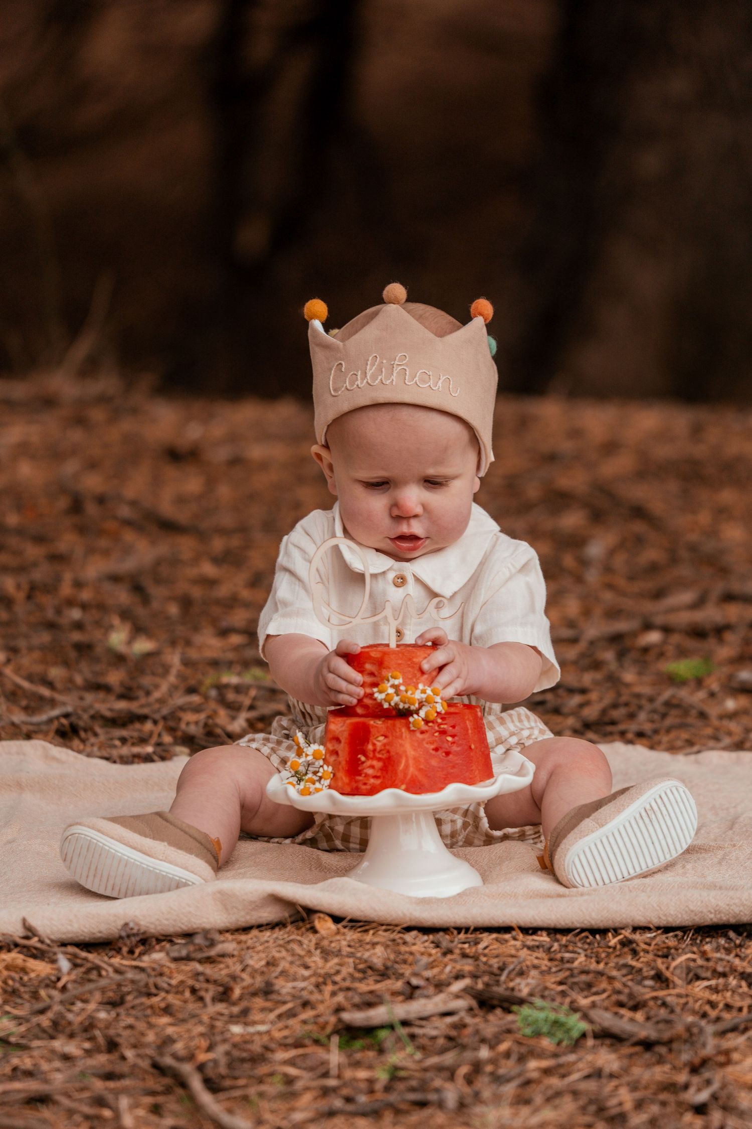 A baby in a white outfit and crown sits on a blanket with a red cake during an autumn outdoor photo session.