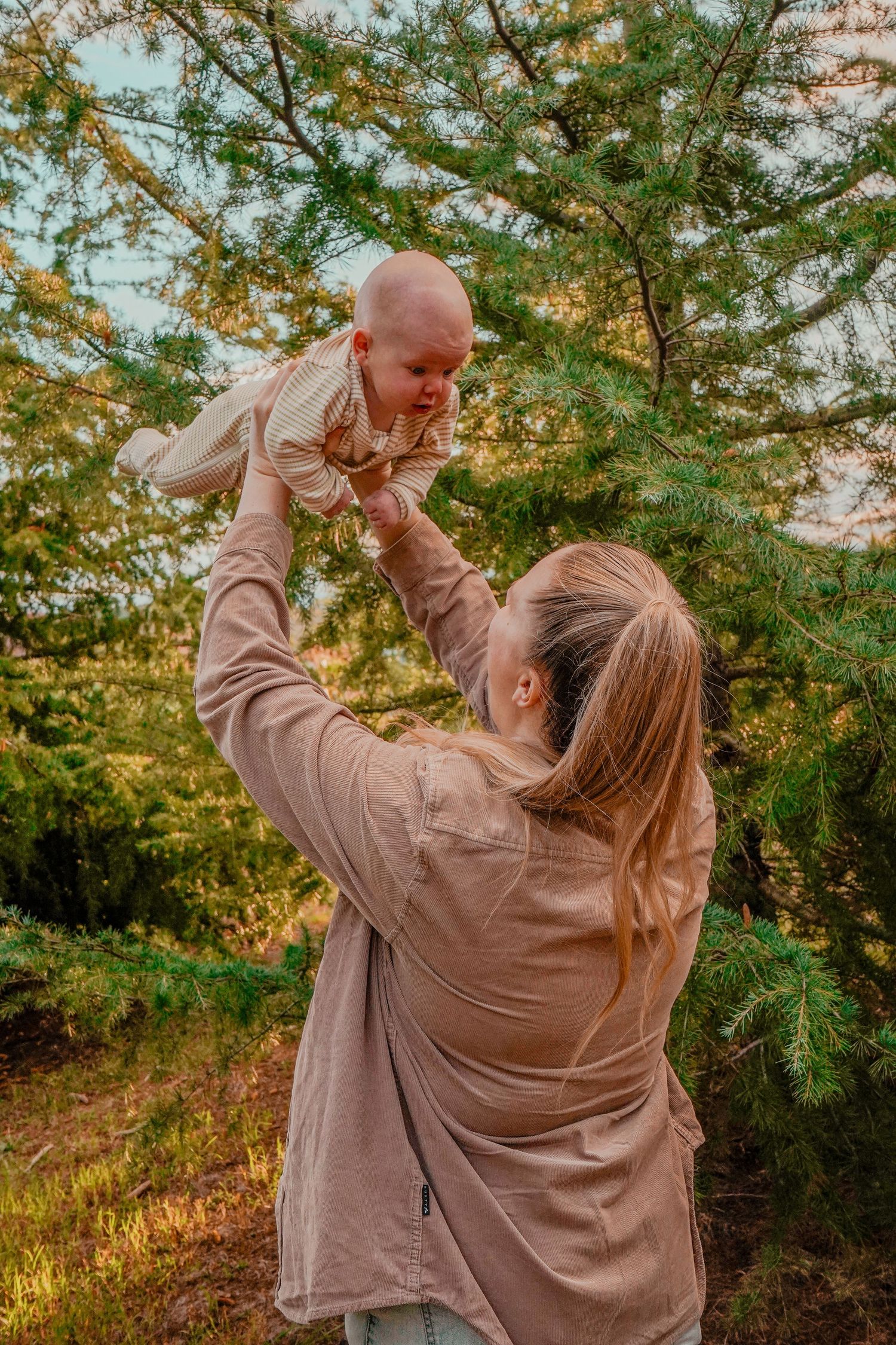 Parent lifting baby high in the air against sunset-lit evergreen trees.