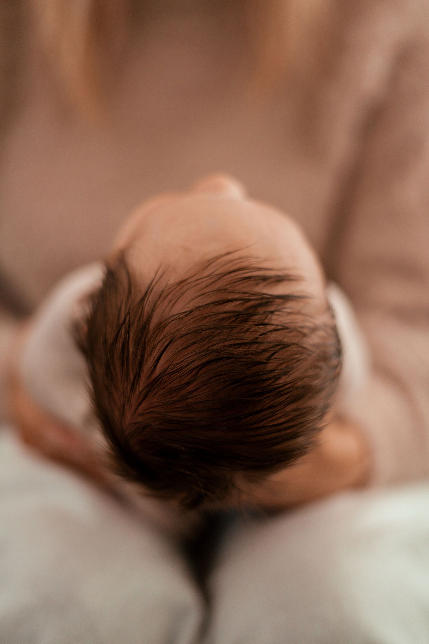 Close-up overhead view of a newborn baby's dark hair against a soft brown background.