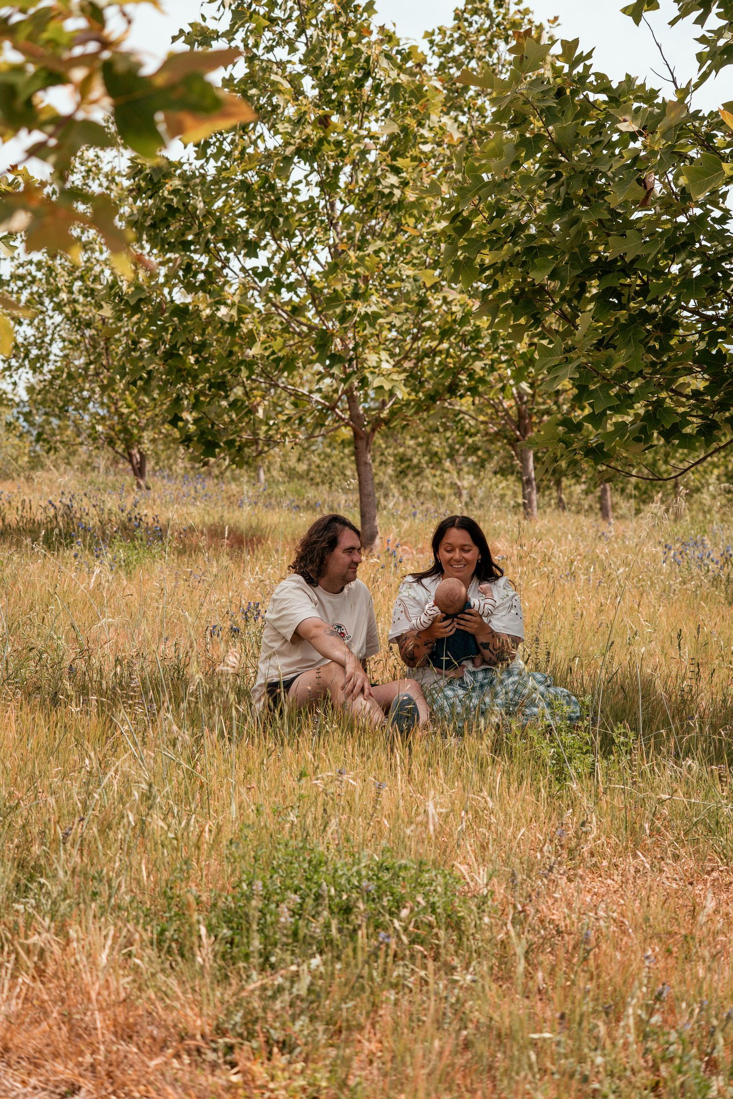 Two people sit together in a golden grass field under a leafy tree during sunset.