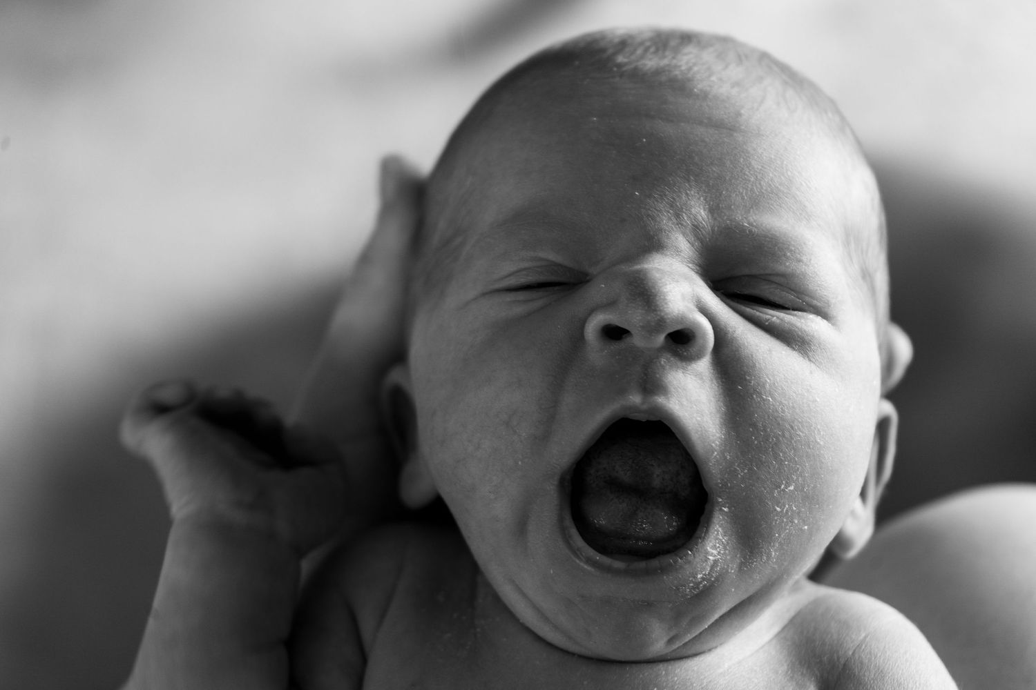 Close-up black and white photo of a yawning baby.