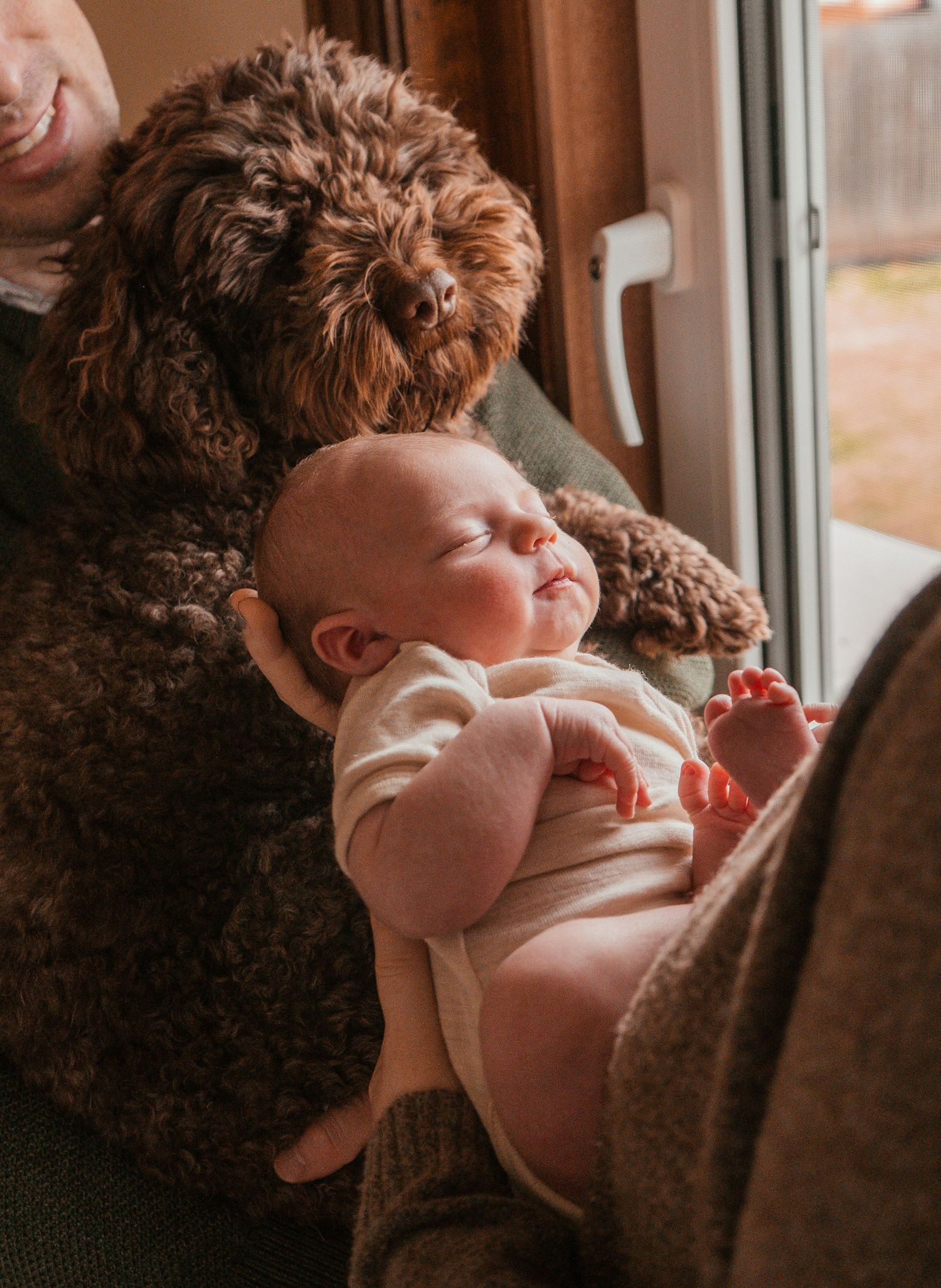 A brown labradoodle dog snuggles with a baby in a cozy window seat on a sunny afternoon.