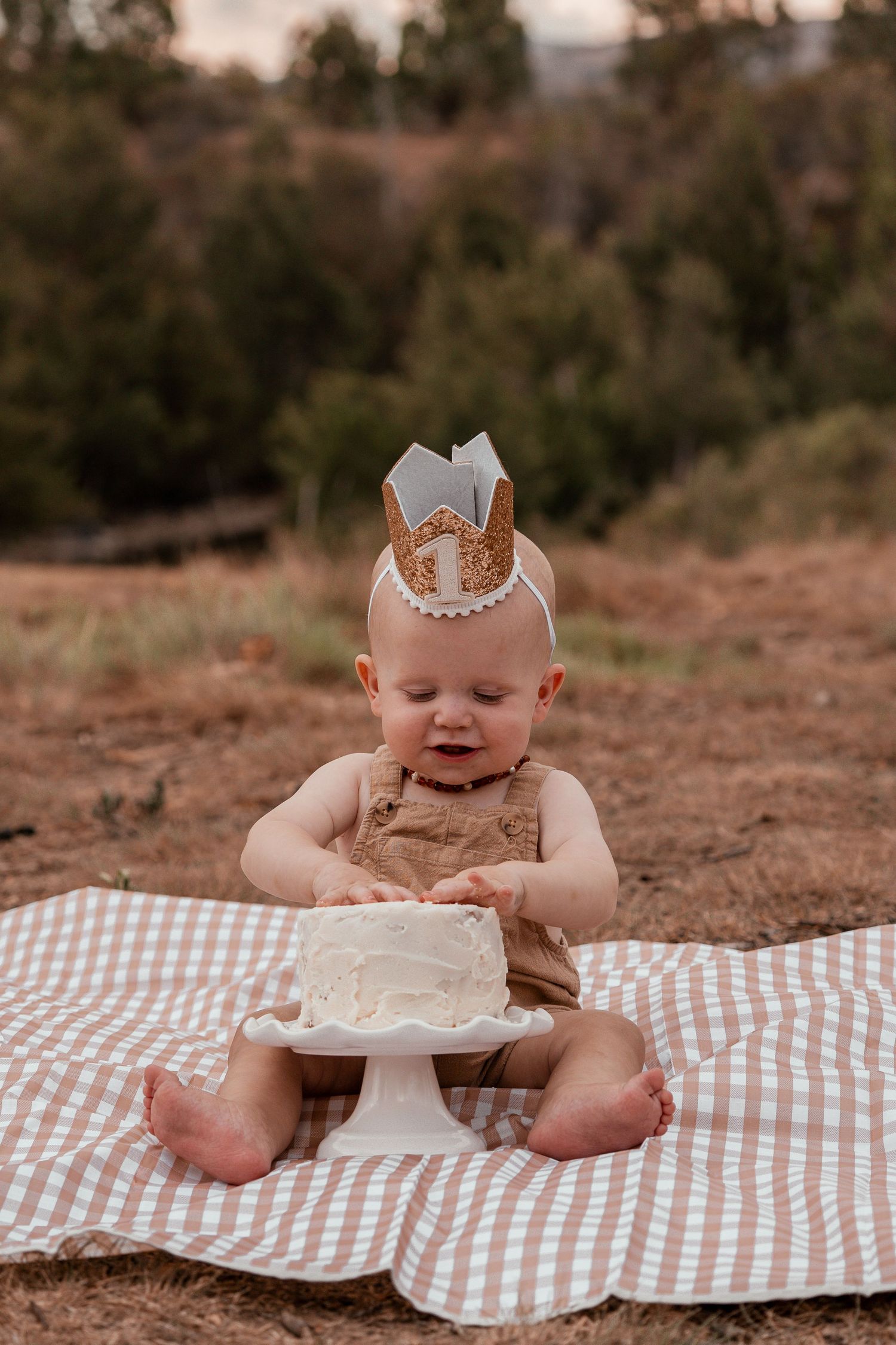 Baby sitting on brown and white checkered blanket with cake smash setup for first birthday photoshoot outdoors.