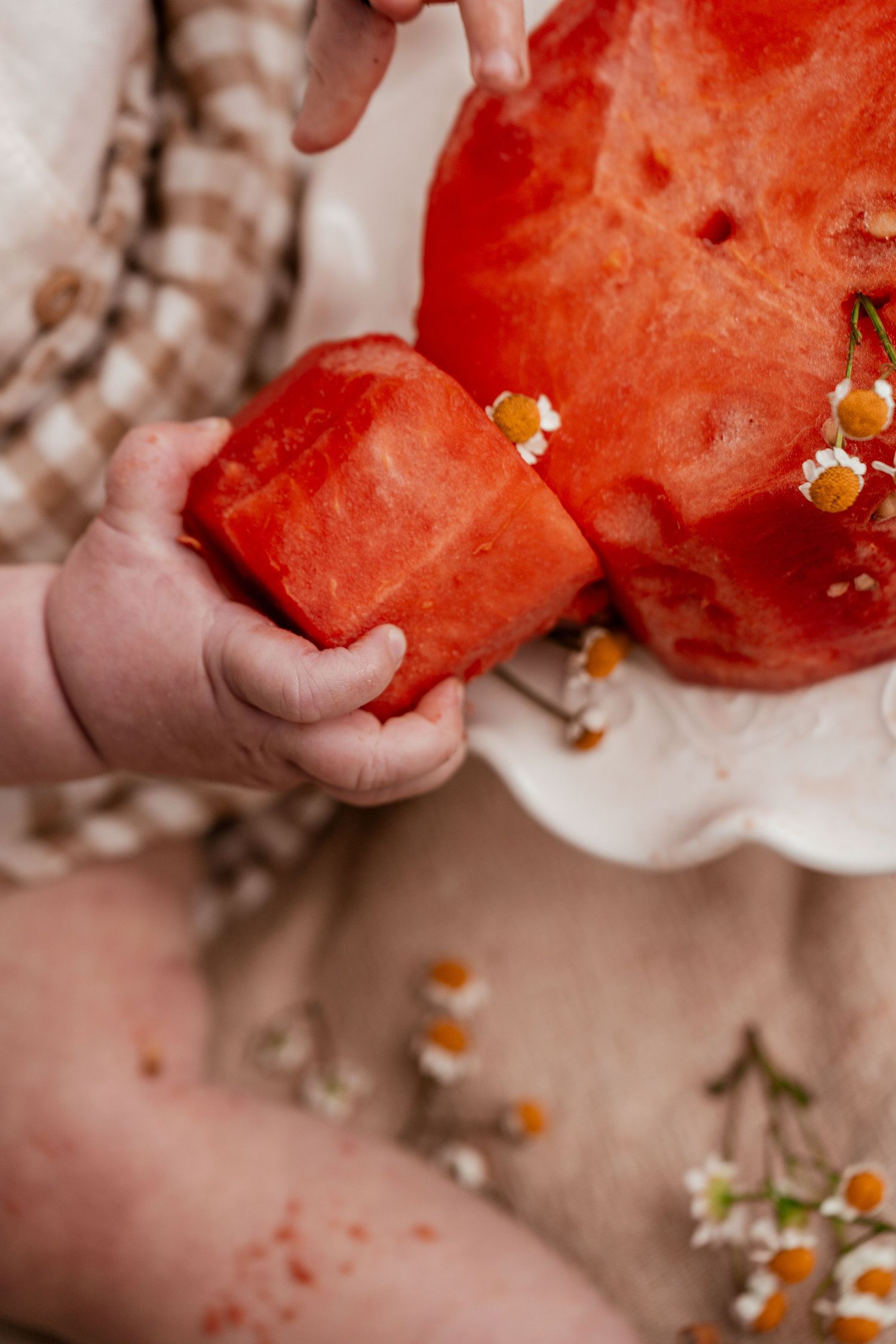 Close-up sequence of someone eating a juicy slice of fresh watermelon with small white flowers in the background.