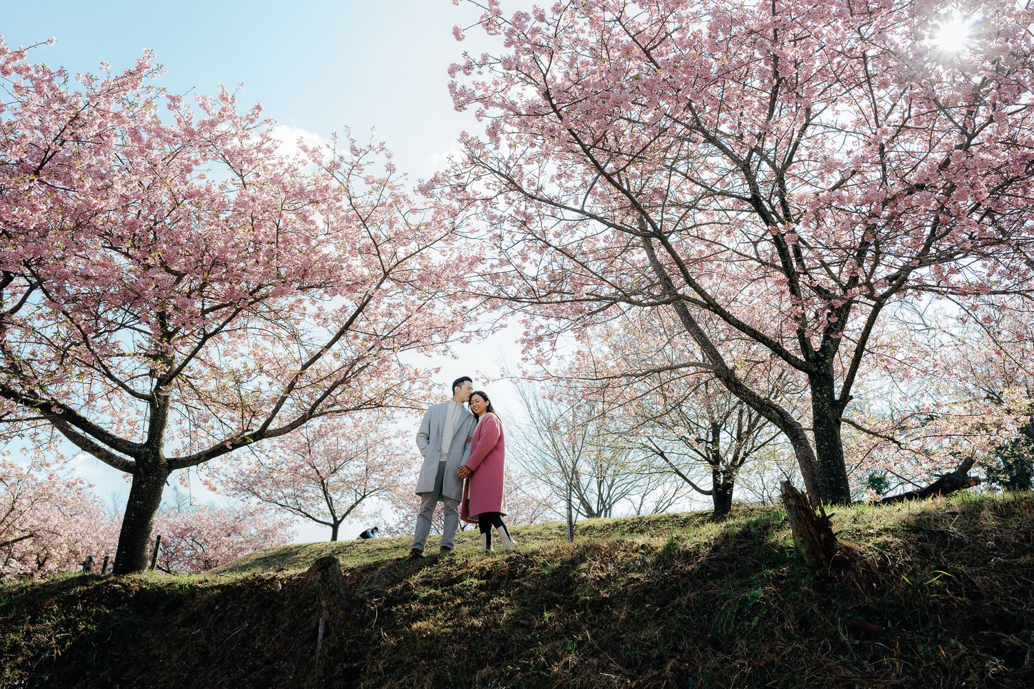 portrait,wedding photographer, surprise proposal , family portrait