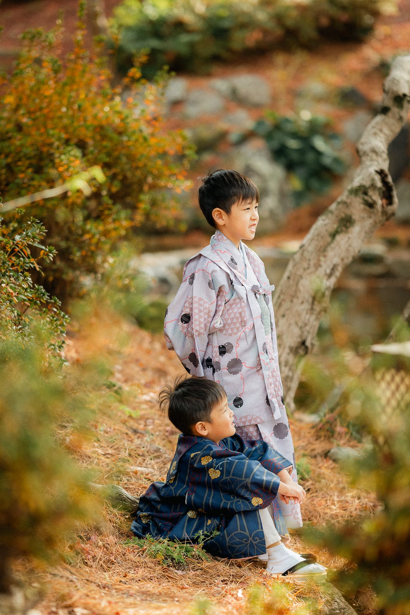 portrait,wedding photographer, surprise proposal , family portrait