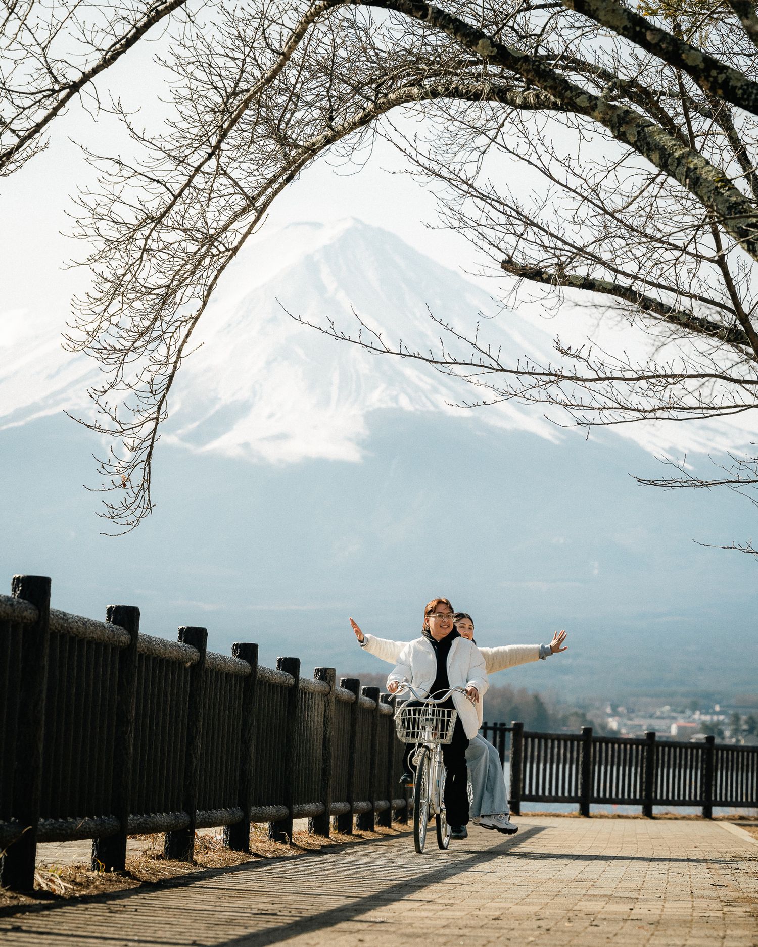 portrait,wedding photographer, surprise proposal , family portrait