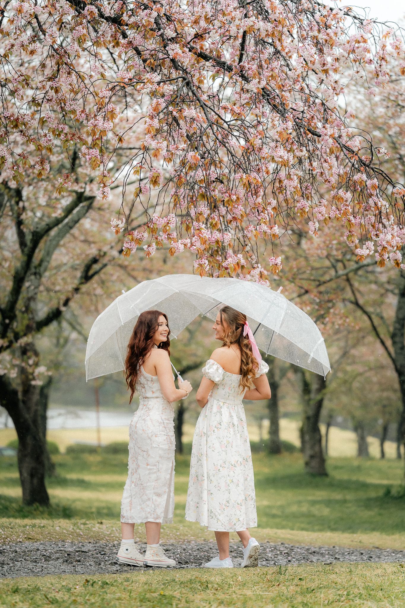portrait,wedding photographer, surprise proposal , family portrait