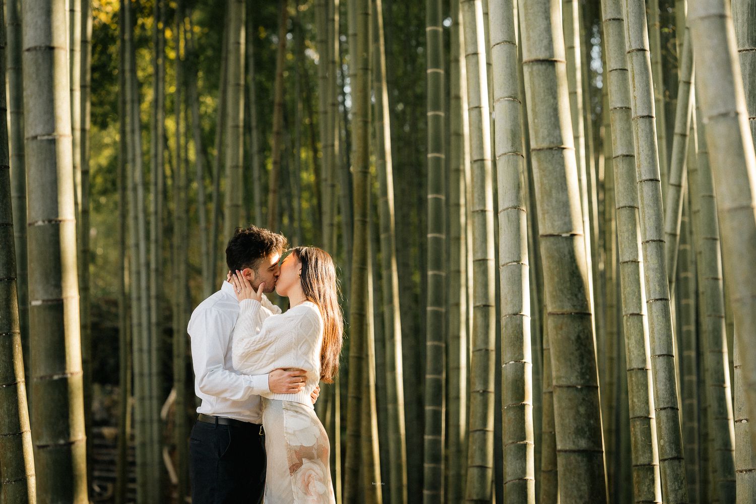 portrait,wedding photographer, surprise proposal , family portrait