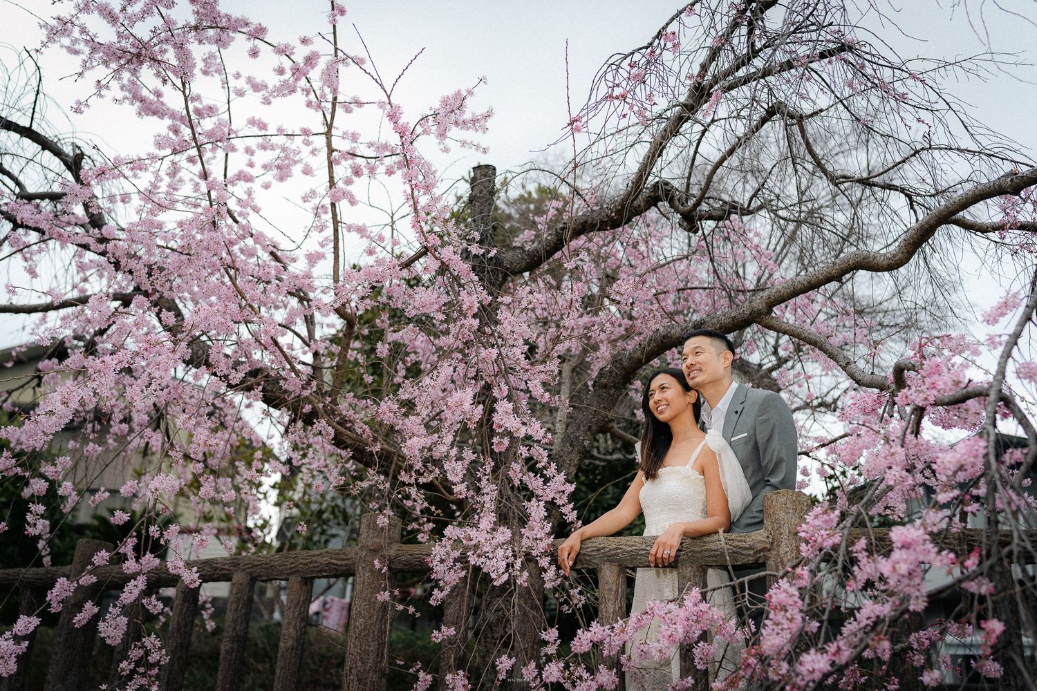 portrait,wedding photographer, surprise proposal , family portrait